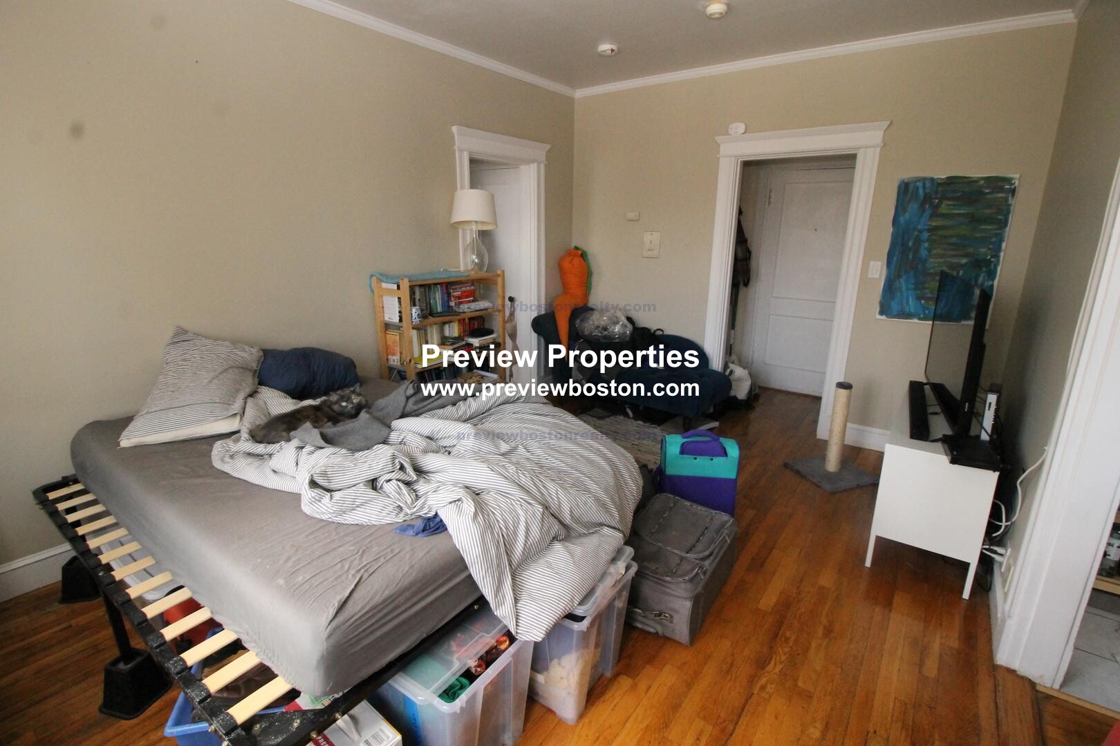 1637 Commonwealth Ave, Brighton