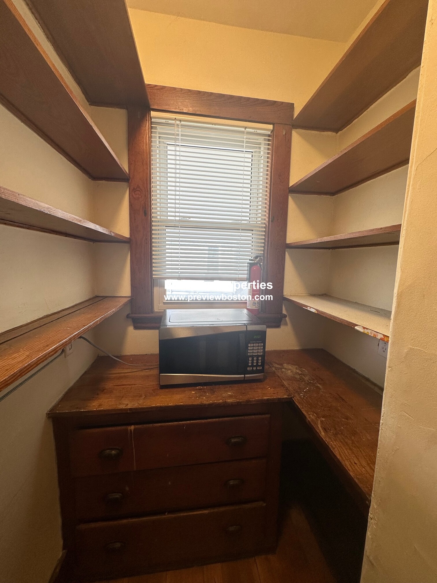 41 Hunnewell Ave, Brighton