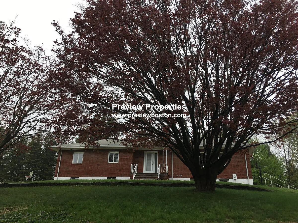 102 Crestview Rd, Belmont Hill