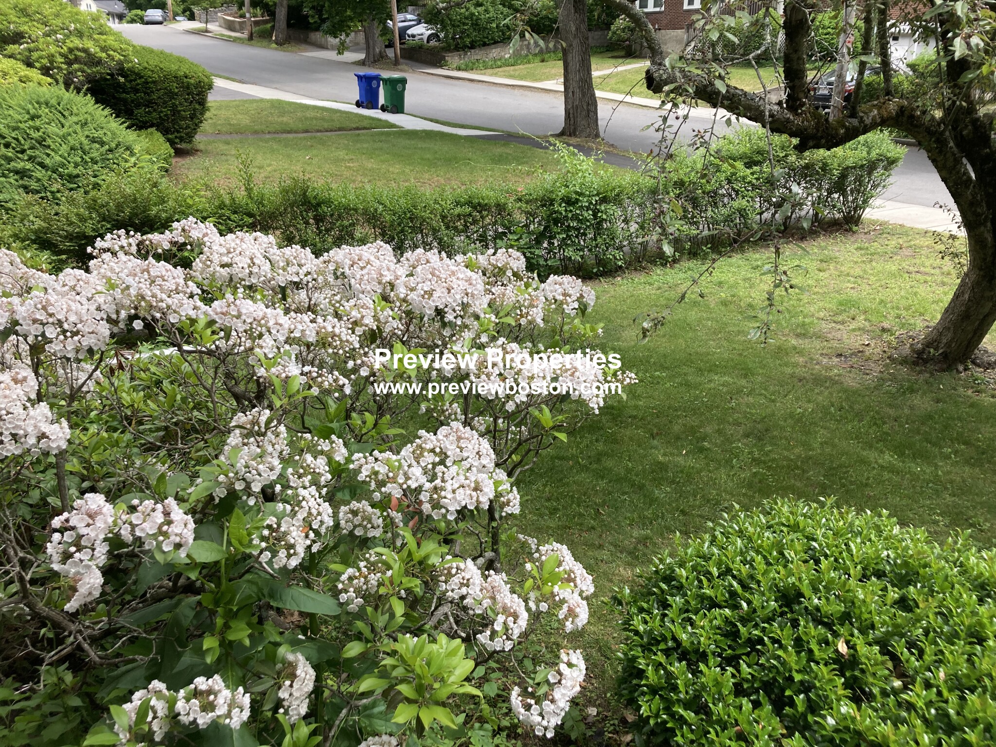 52 Westchester Rd, Newton