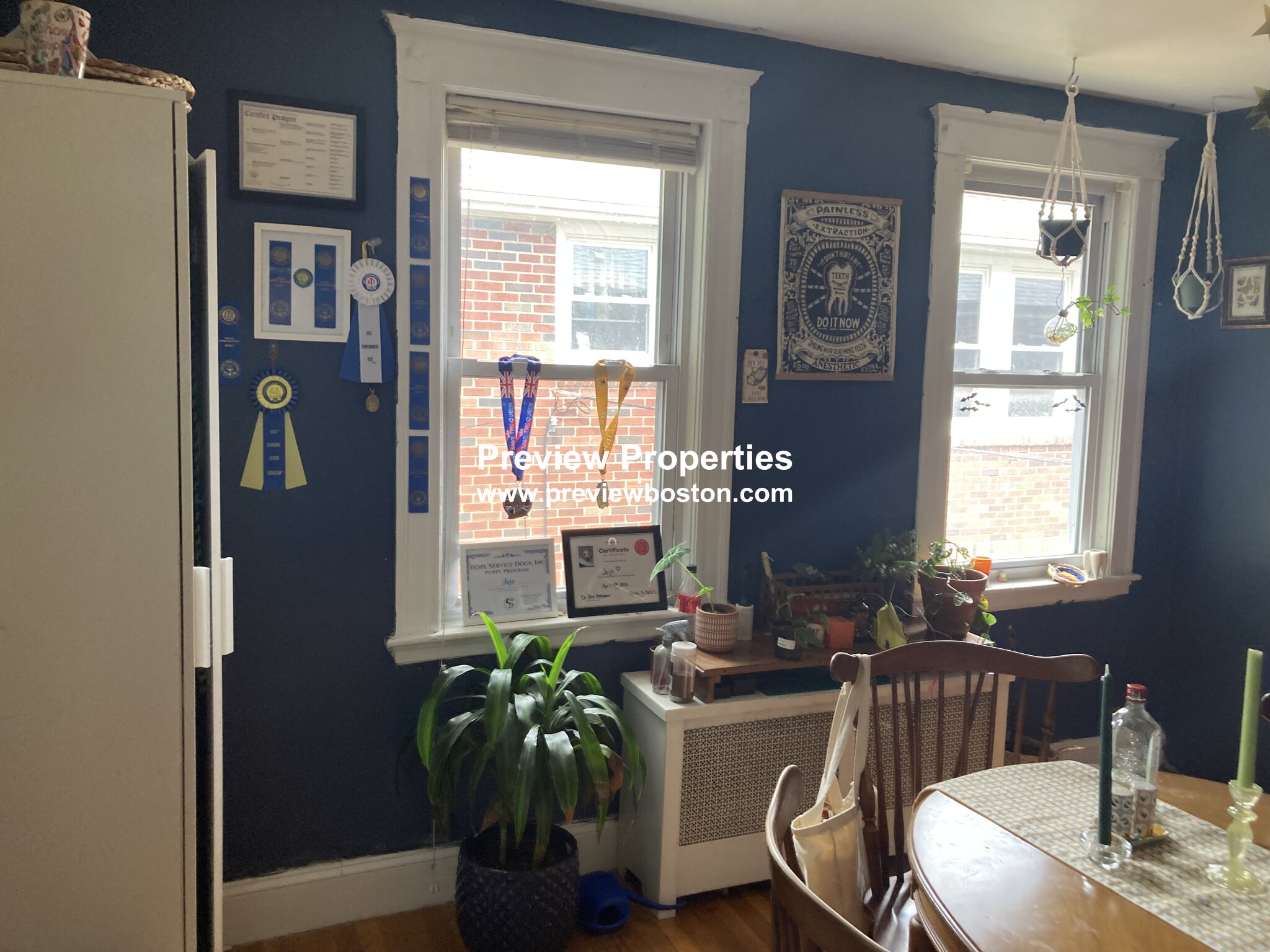 100 Colborne Rd, Brighton