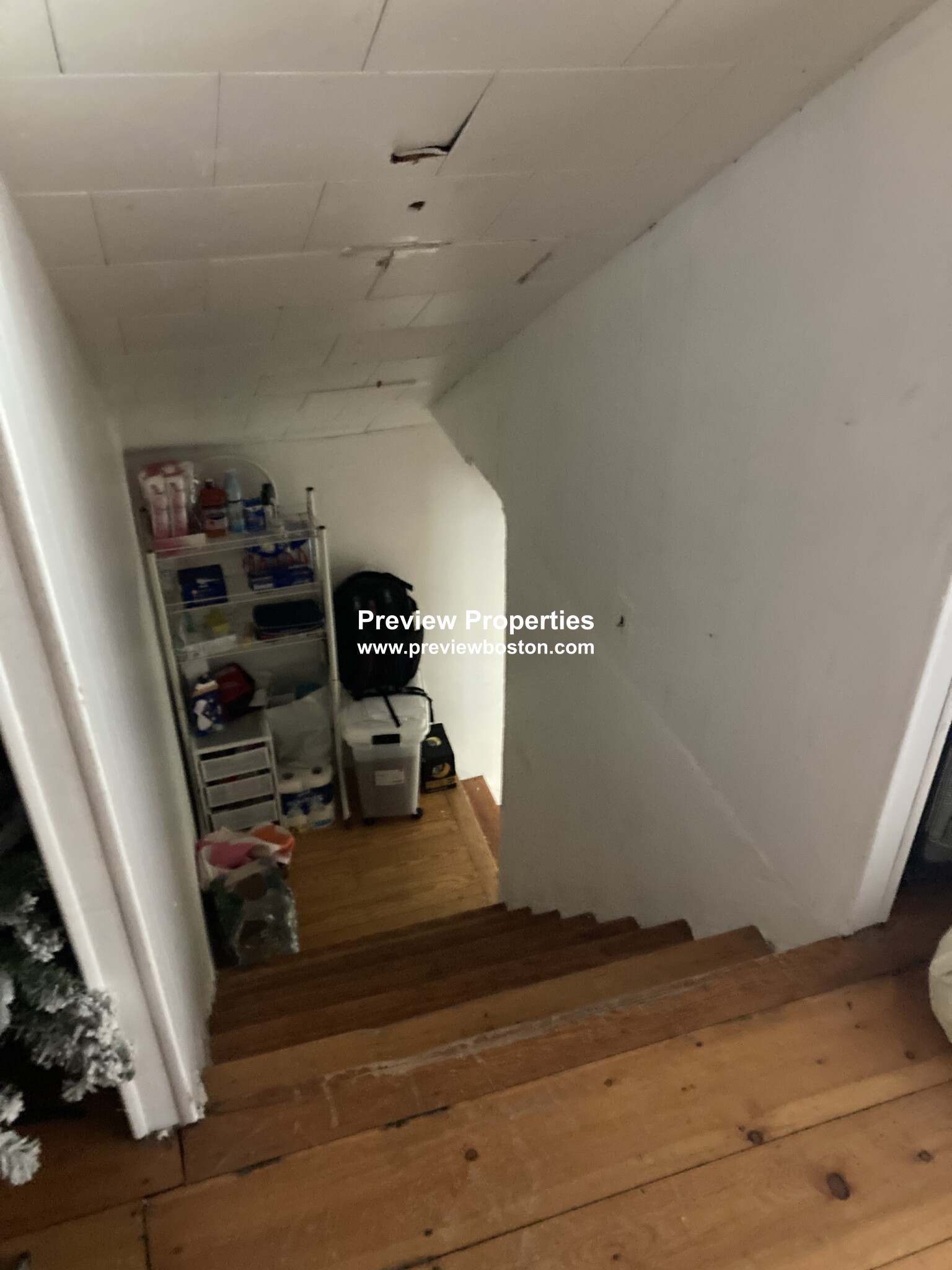 100 Colborne Rd, Brighton