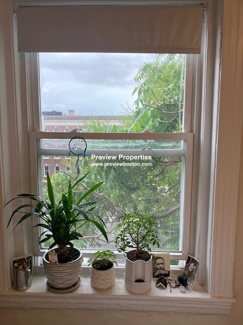 88 Washington St, Brighton