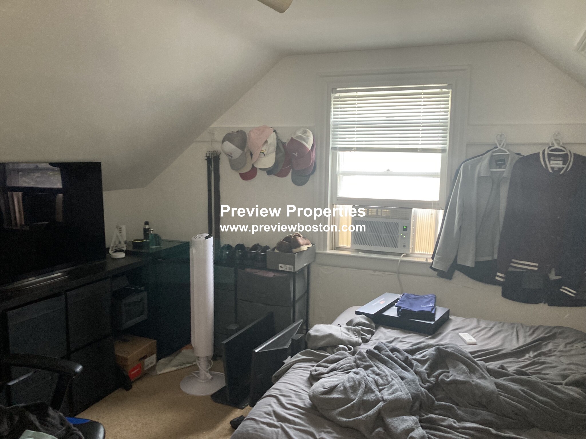 24 Shepard St, Brighton