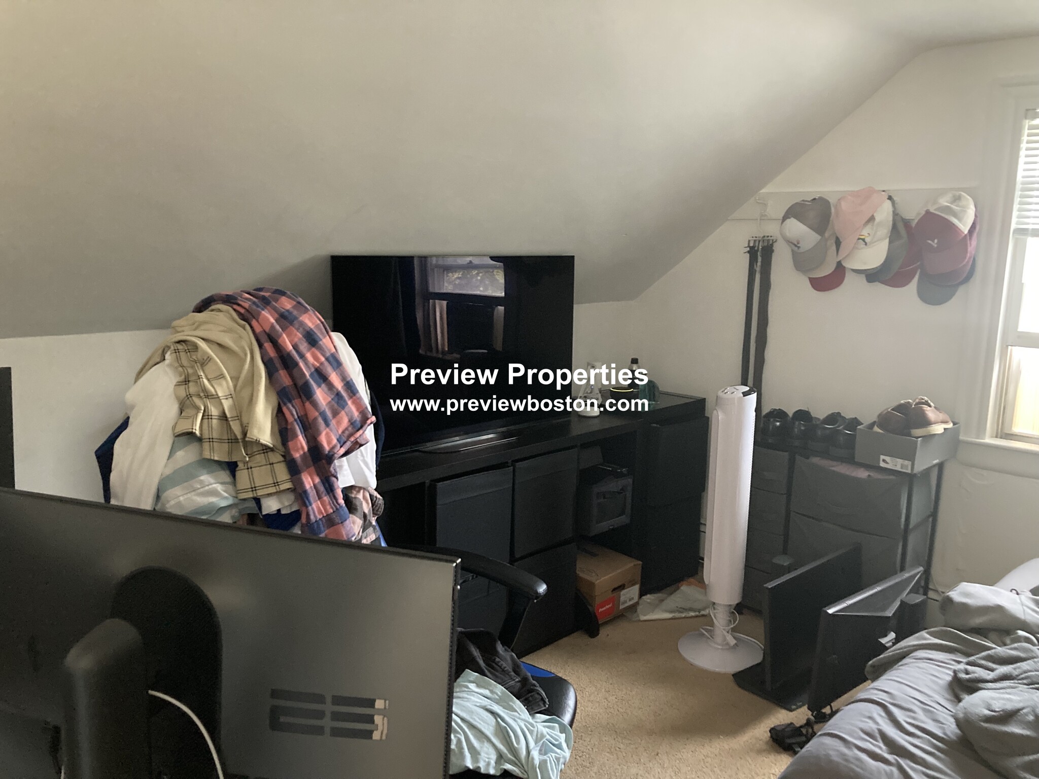 24 Shepard St, Brighton