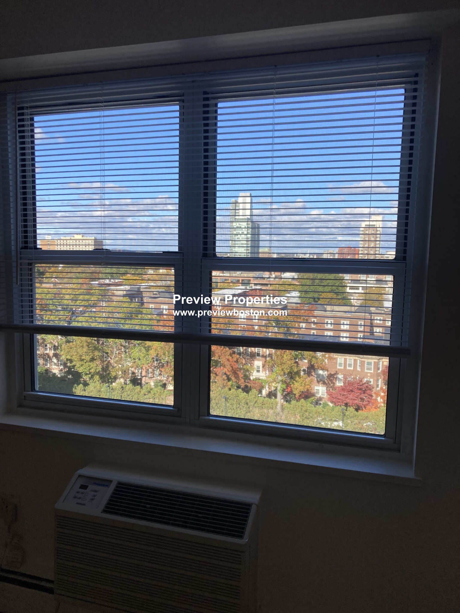 175 Freeman St, Coolidge Corner