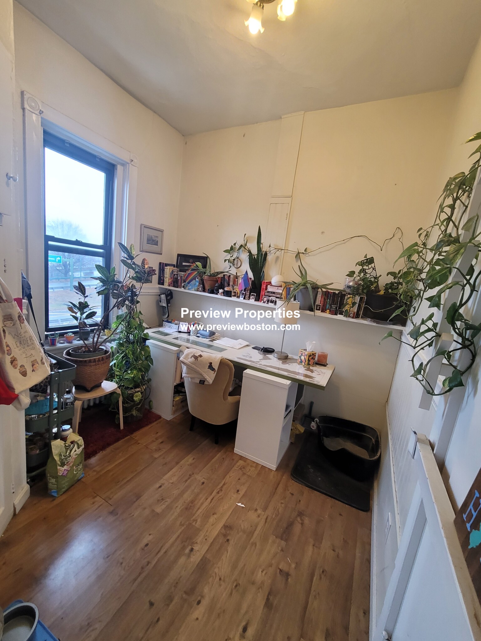 41 Bay State Rd, Fenway