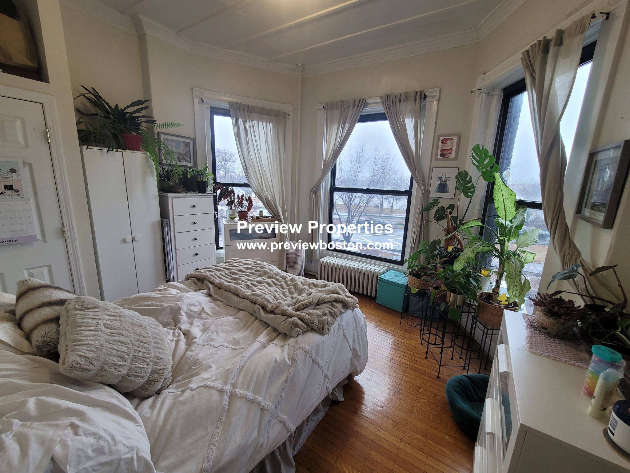 41 Bay State Rd, Fenway