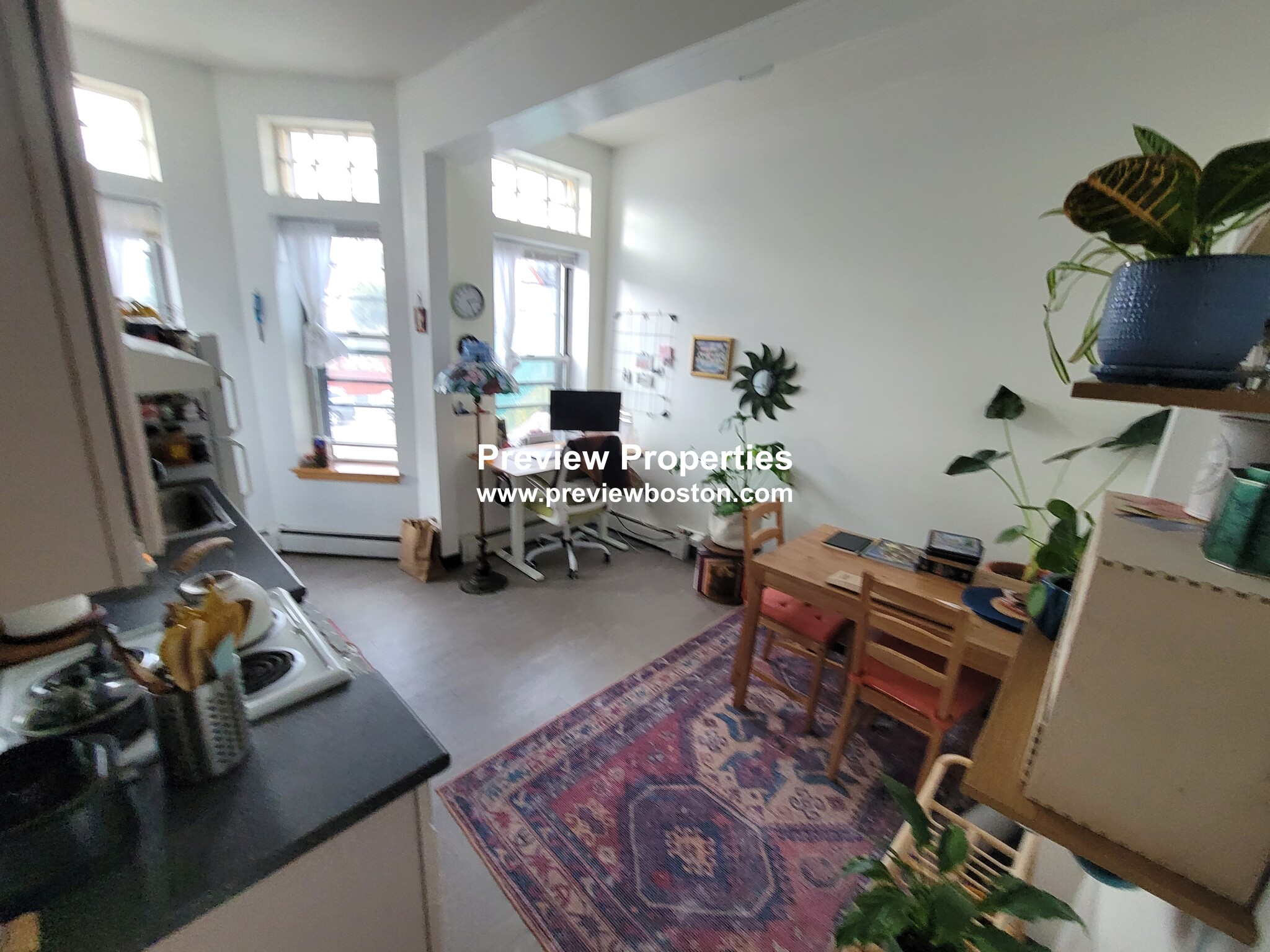 206 Chestnuthill Ave, Brighton