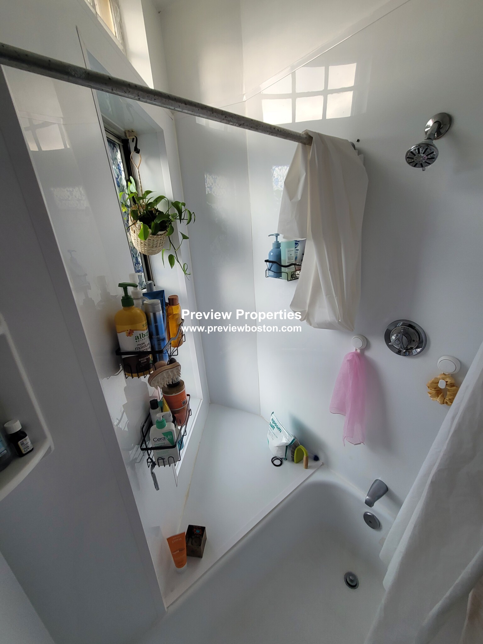 206 Chestnuthill Ave, Brighton