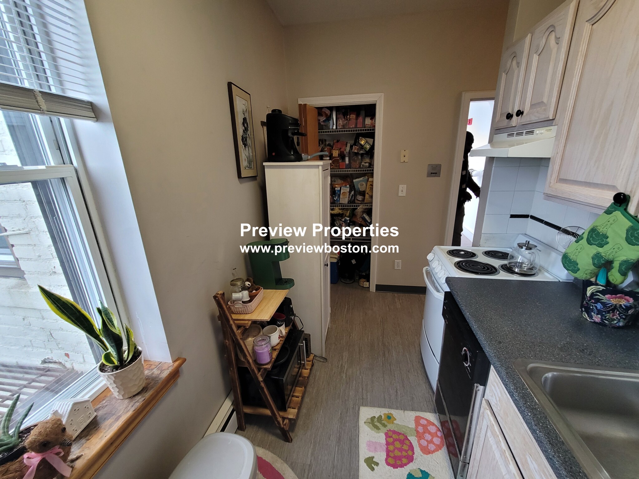 206 Chestnuthill Ave, Brighton