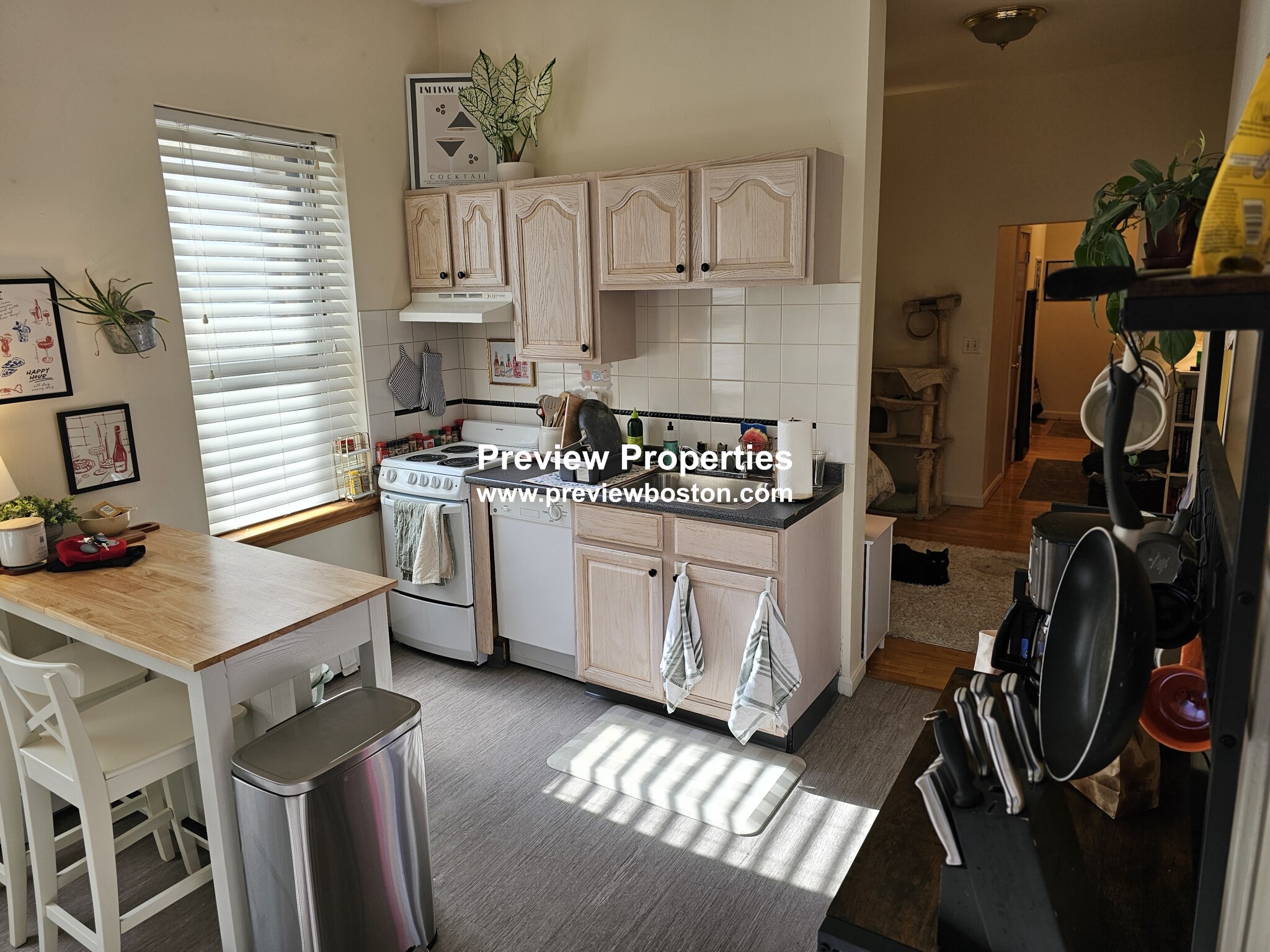 206 Chestnuthill Ave, Brighton