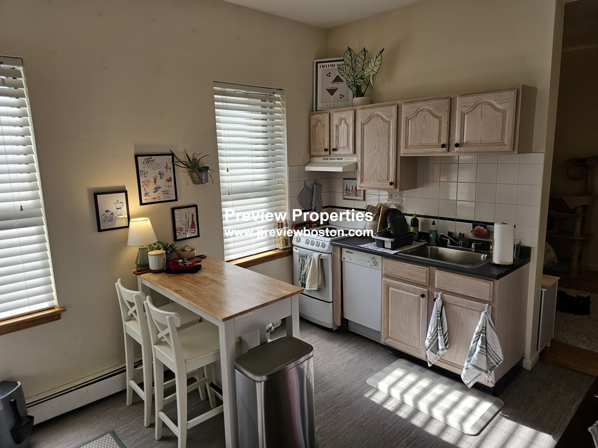 206 Chestnuthill Ave, Brighton