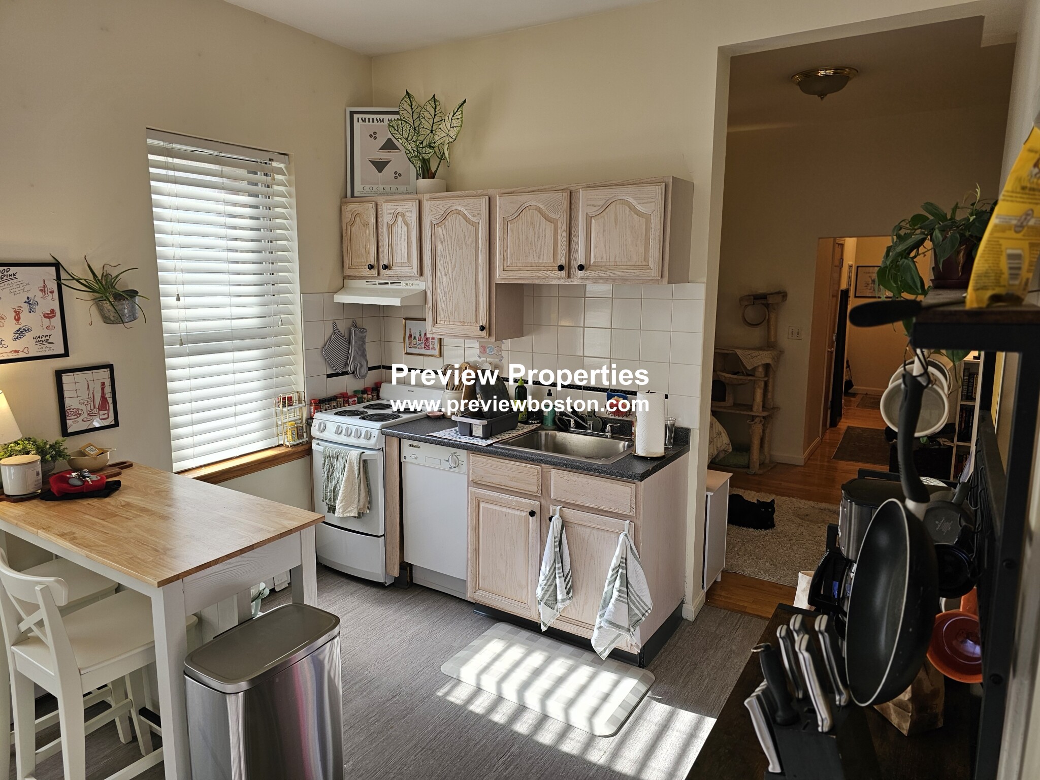 206 Chestnuthill Ave, Brighton