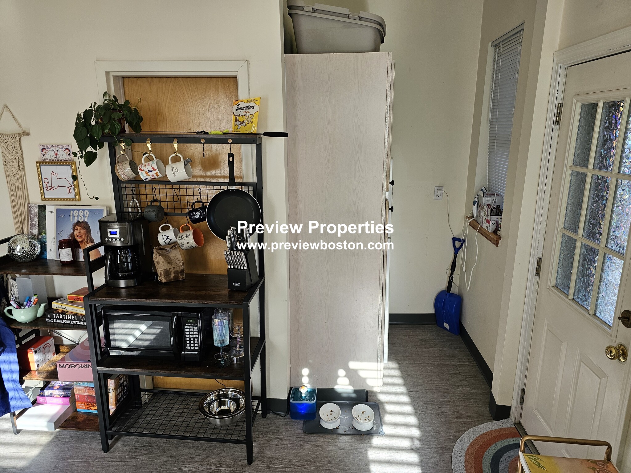 206 Chestnuthill Ave, Brighton