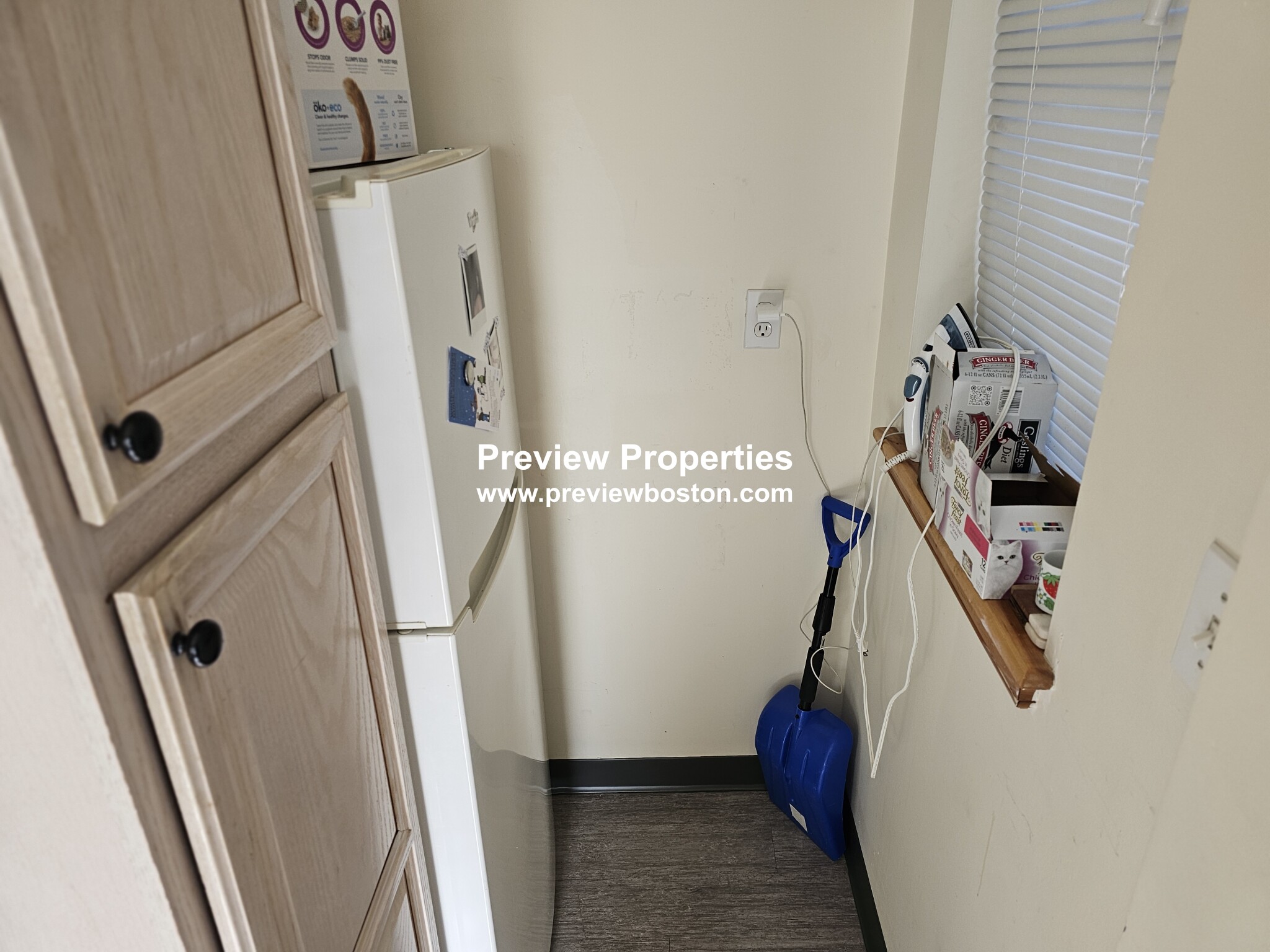 206 Chestnuthill Ave, Brighton