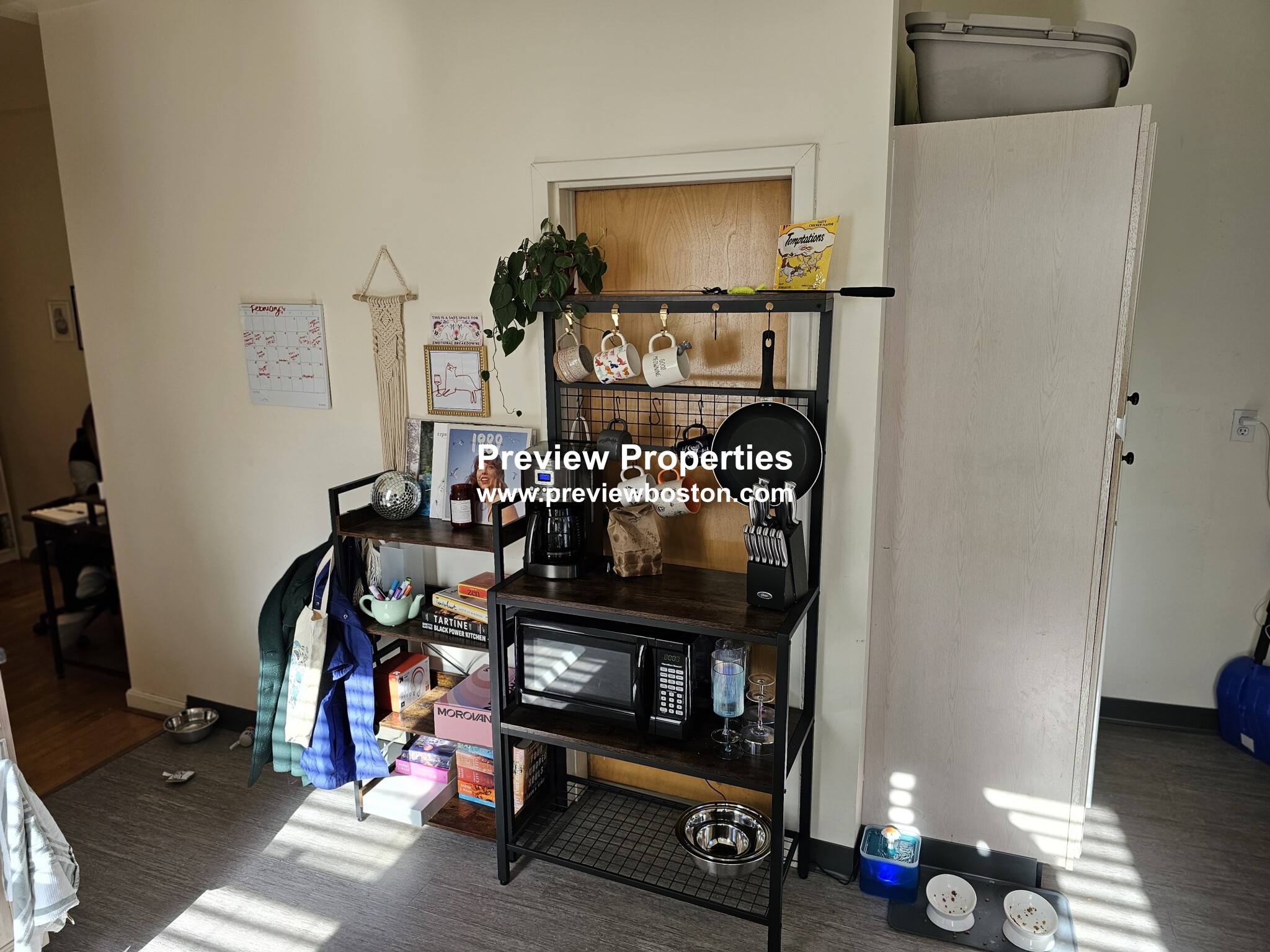 206 Chestnuthill Ave, Brighton