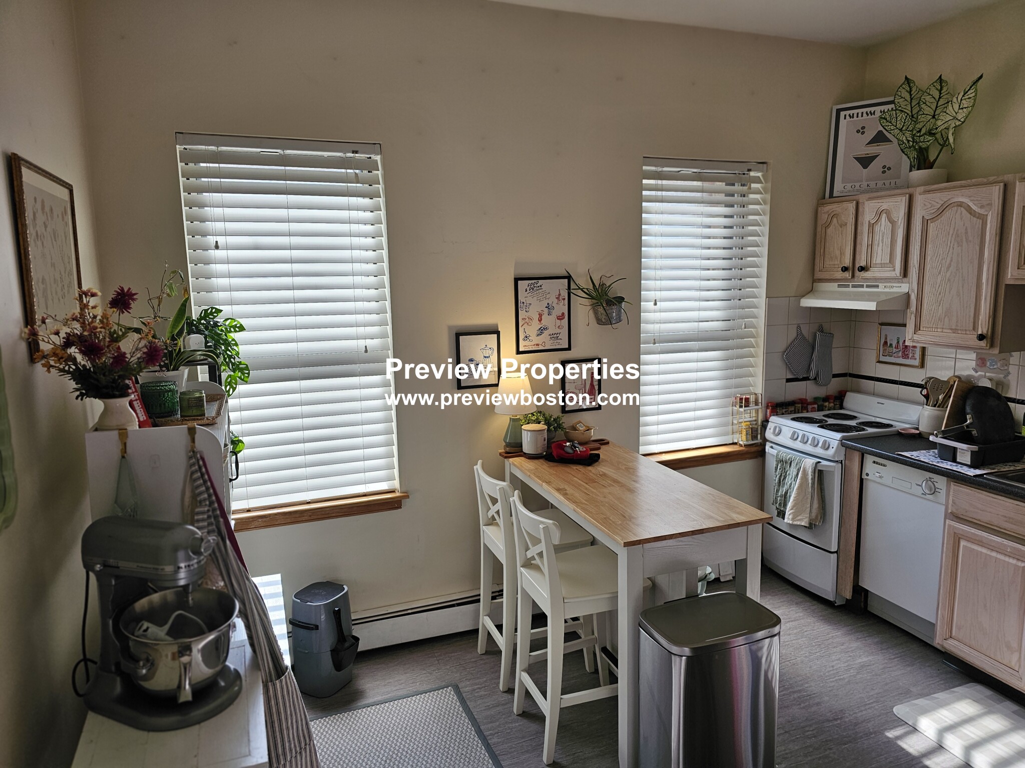 206 Chestnuthill Ave, Brighton