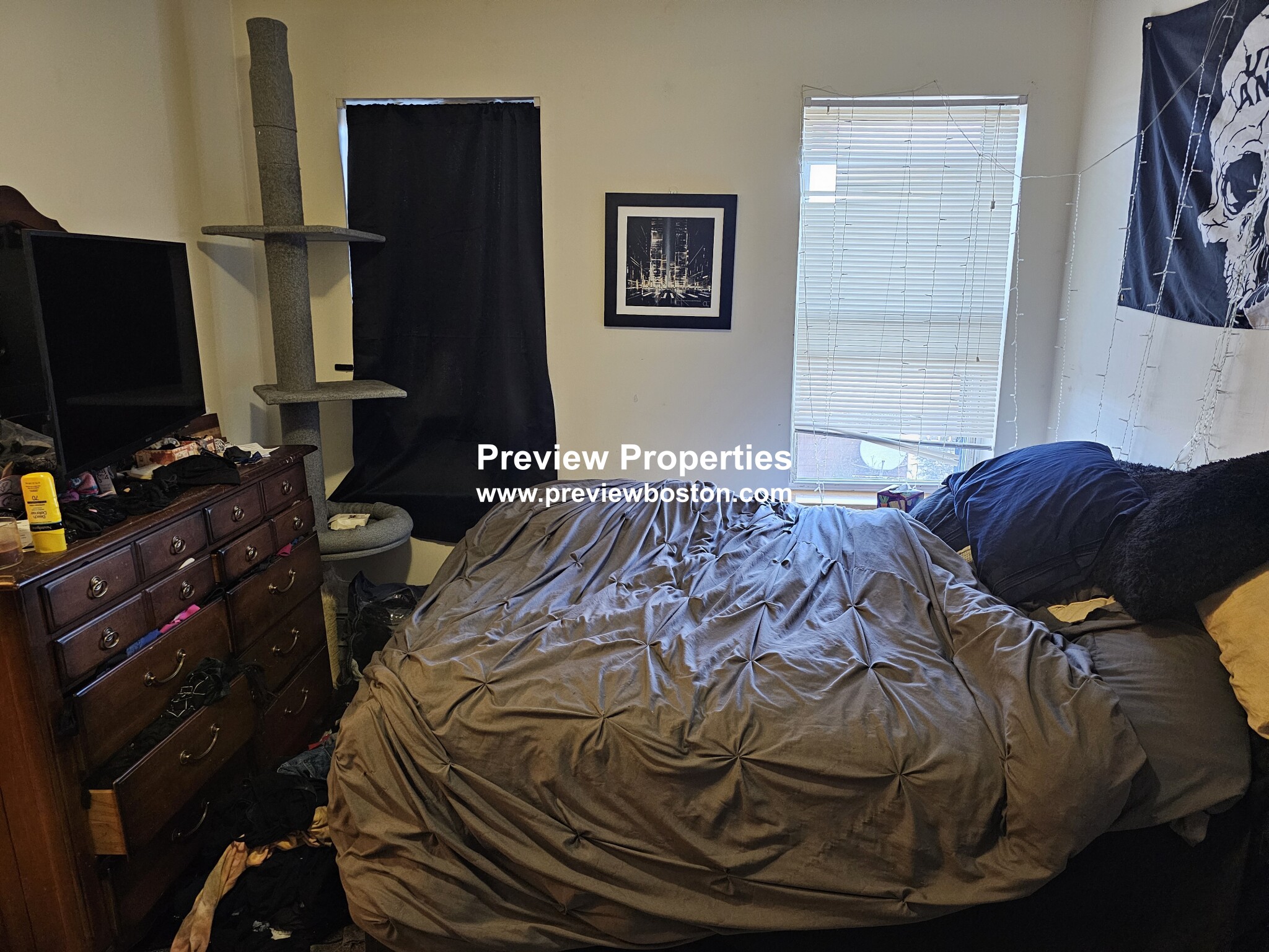 206 Chestnut Hill Ave, Brighton