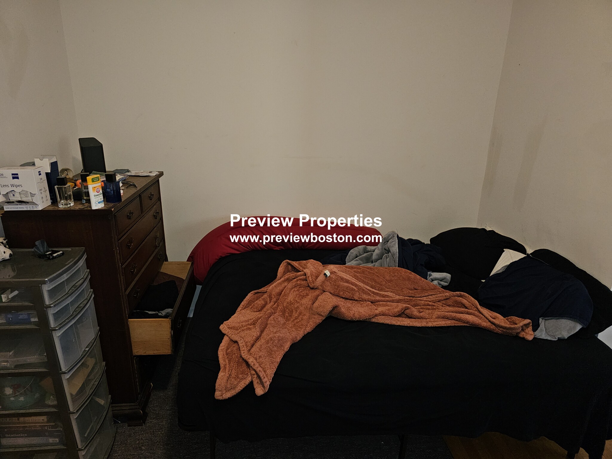 206 Chestnuthill Ave, Brighton