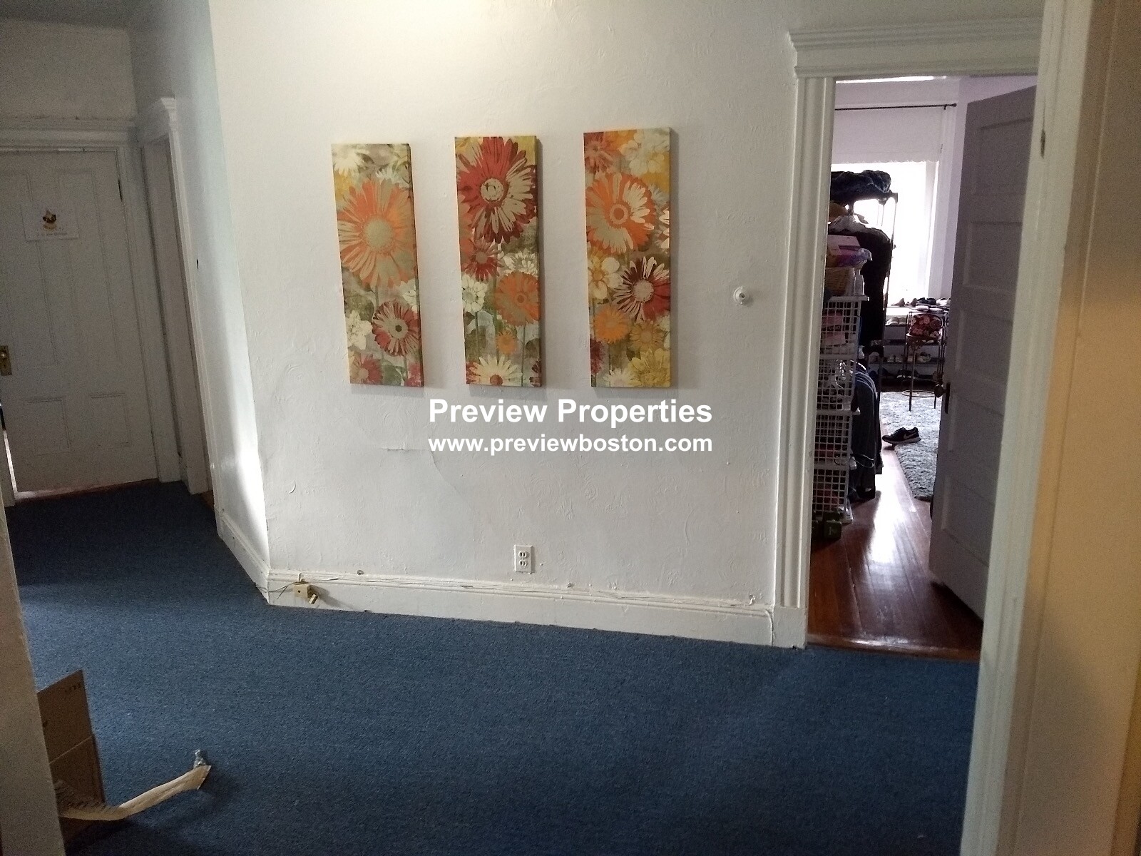 18 Mount Hood Rd, Brighton