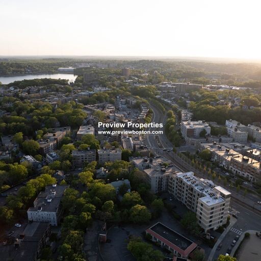 14 Mount Hood Rd, Brighton