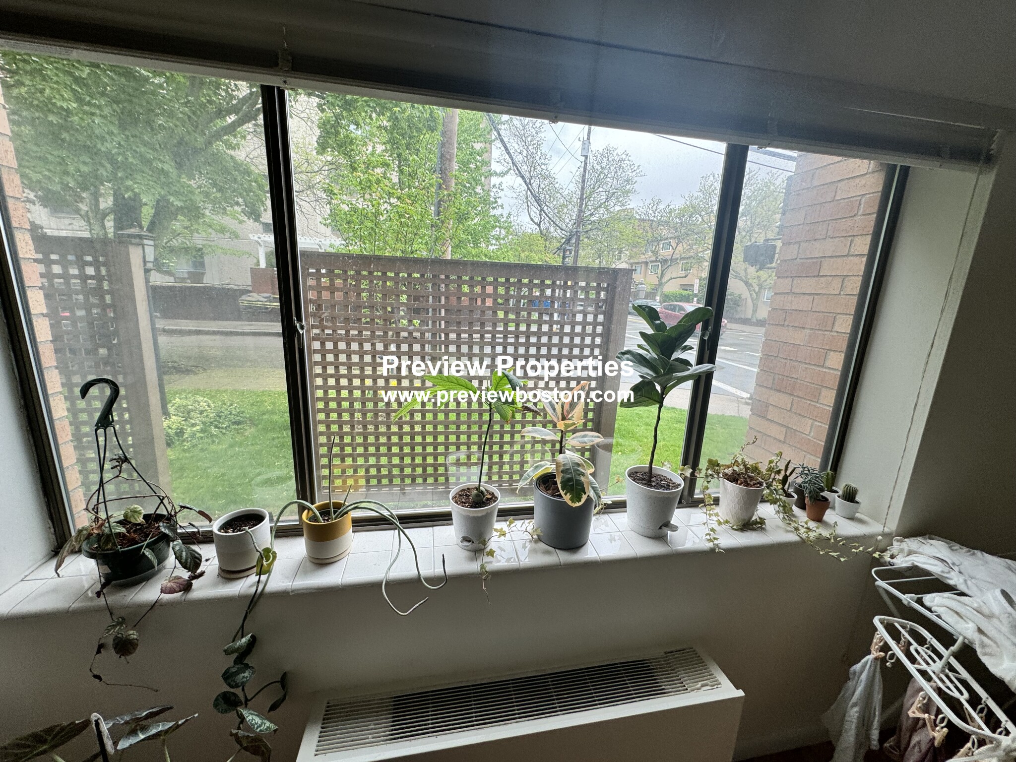 40 Williams, Coolidge Corner