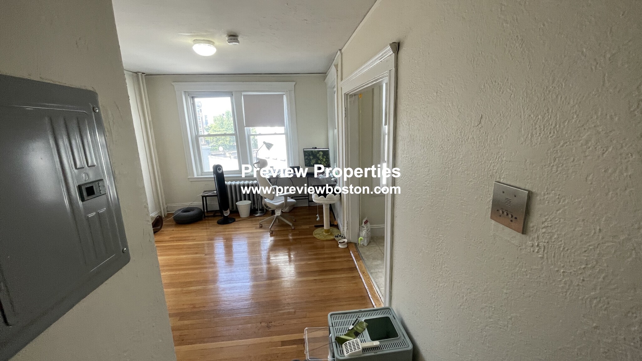 1163 Boylston St, Fenway