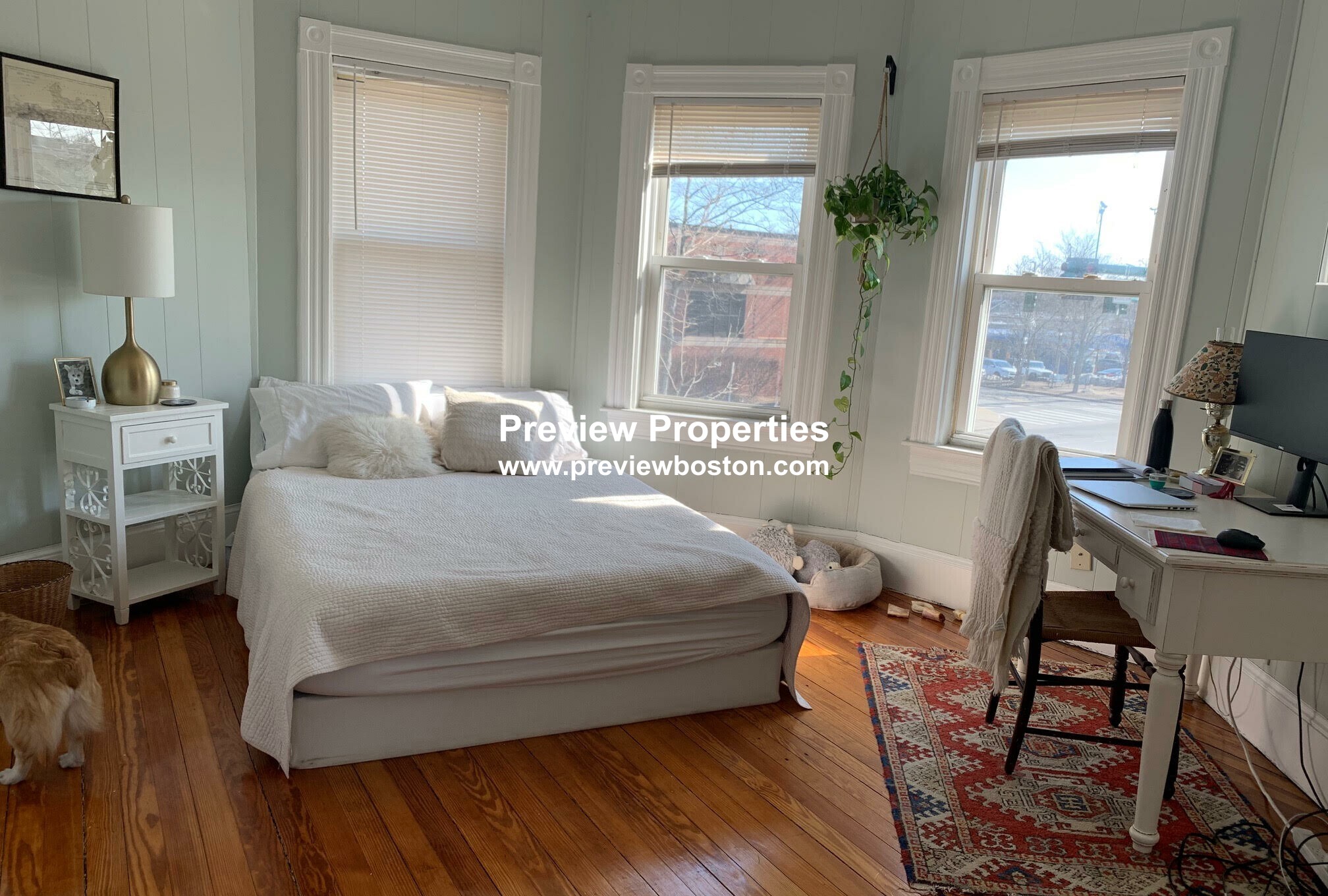 544 Trapelo Rd, Belmont