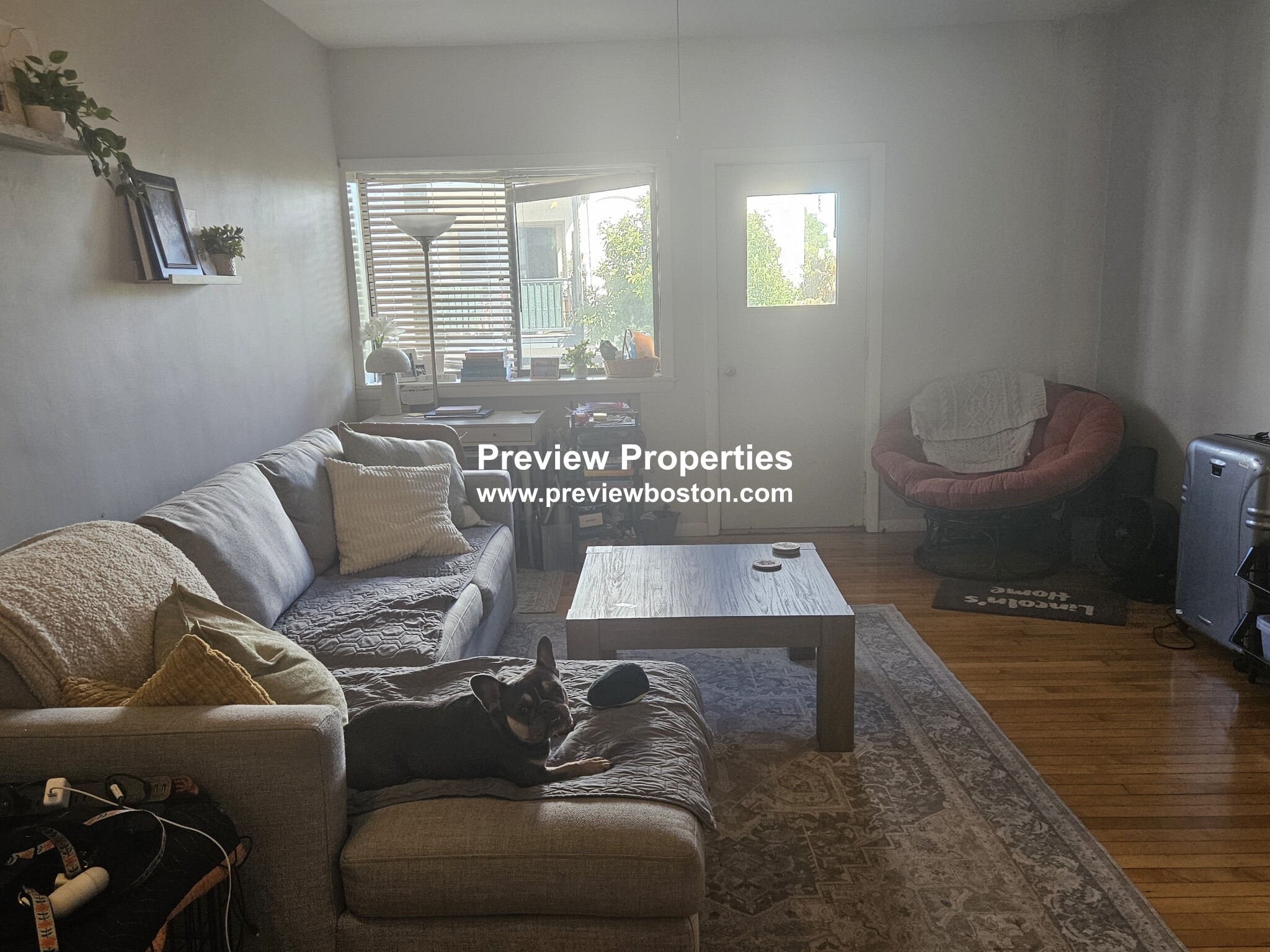 4 Commonwealth Ct, Brighton