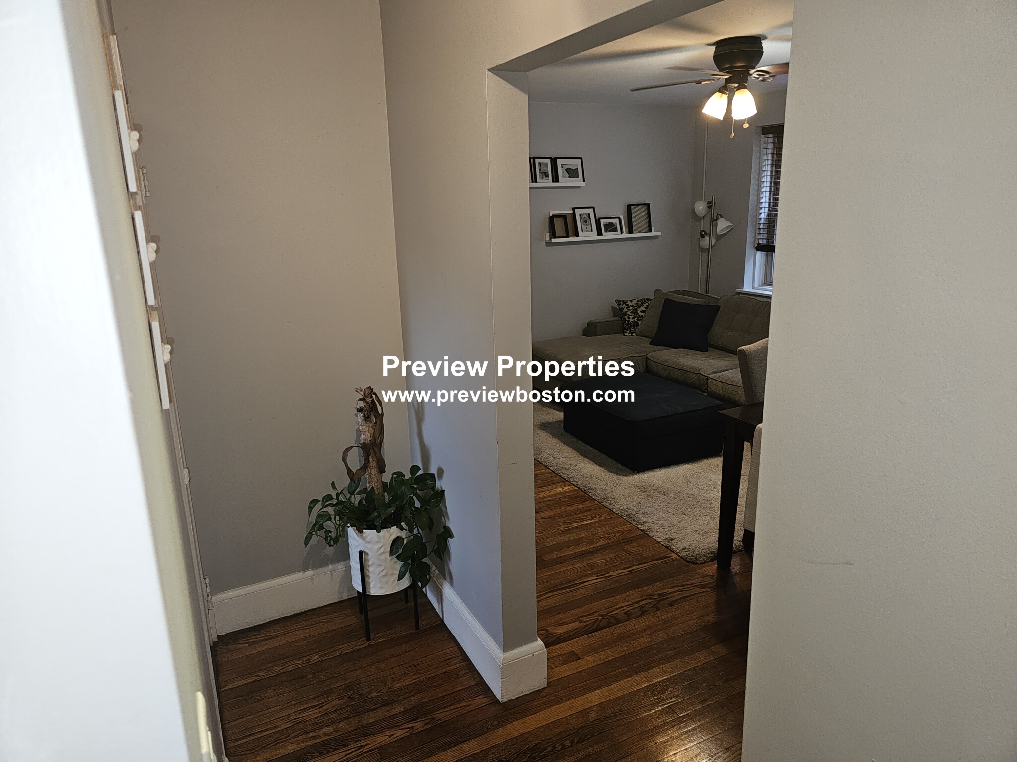 100 Morton St, Jamaica Plain