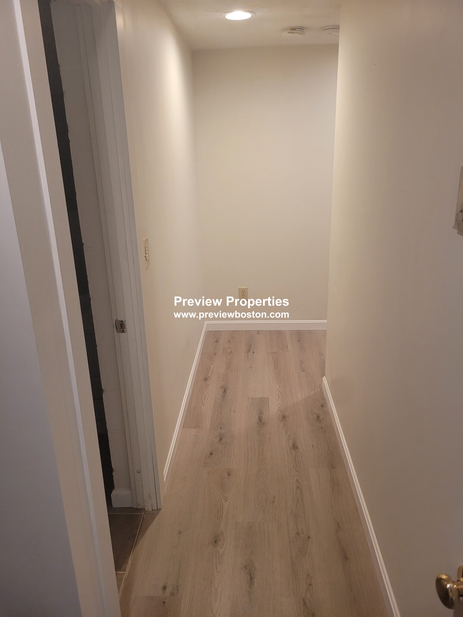 117 West Concord St, South End