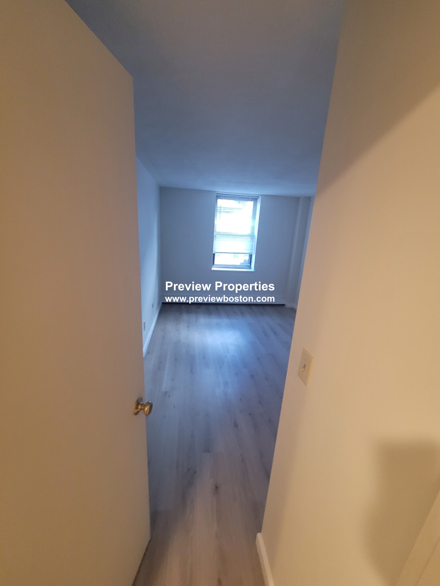 117 West Concord St, South End