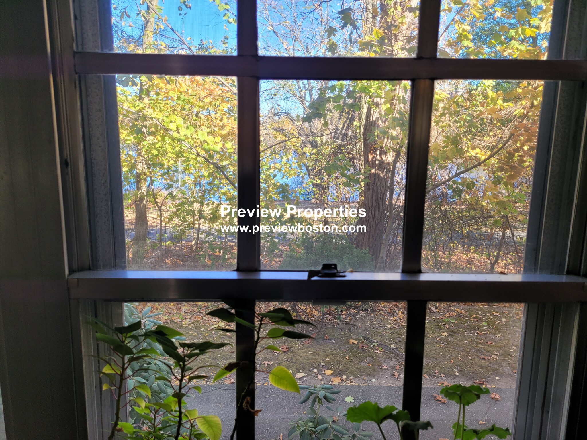 103 Lake Shore Rd, Brighton