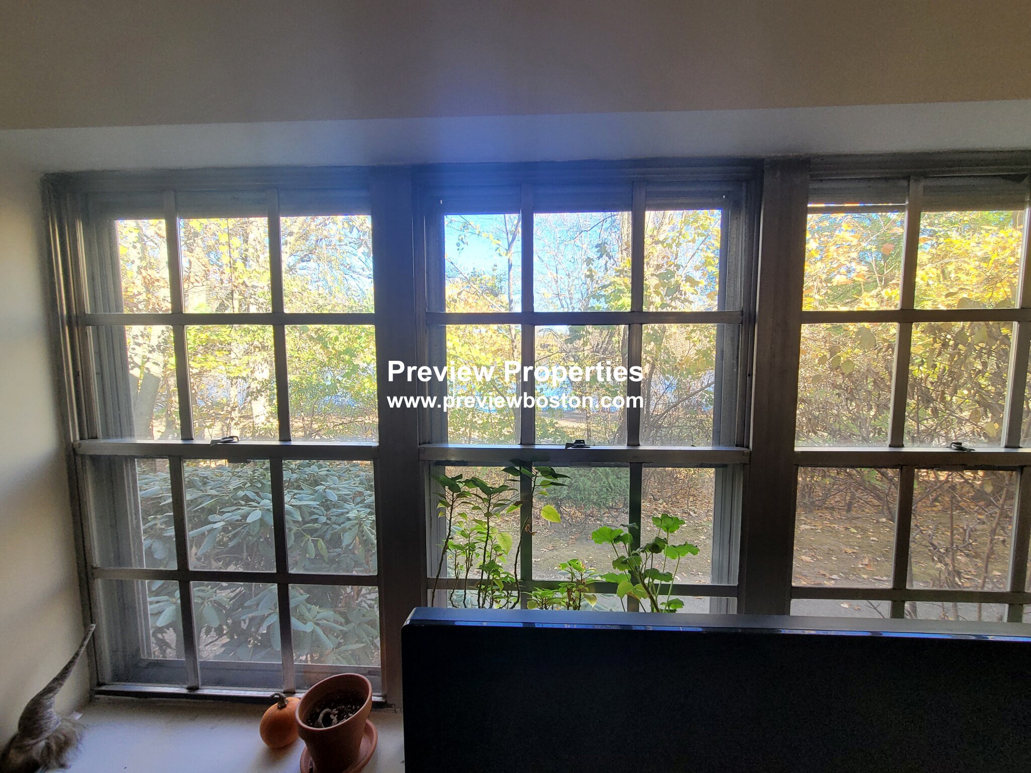 103 Lake Shore Rd, Brighton