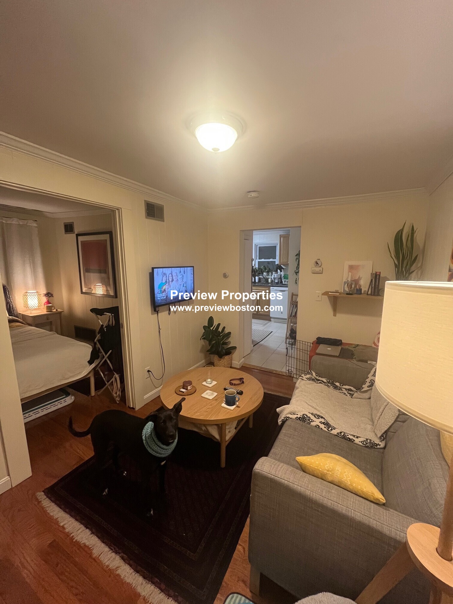 57 Cedar St, Porter Square