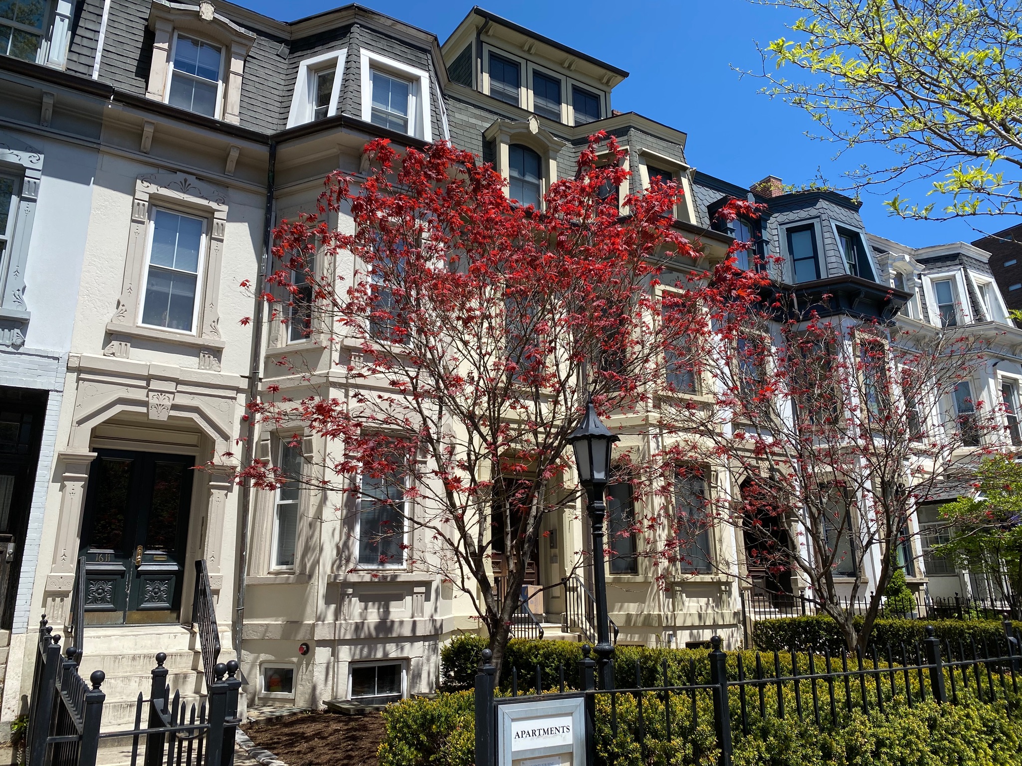 2 bed, 1 bath apartment for rent at 1611 Tremont St Unit 2, Mission Hill — photo 9 of 12