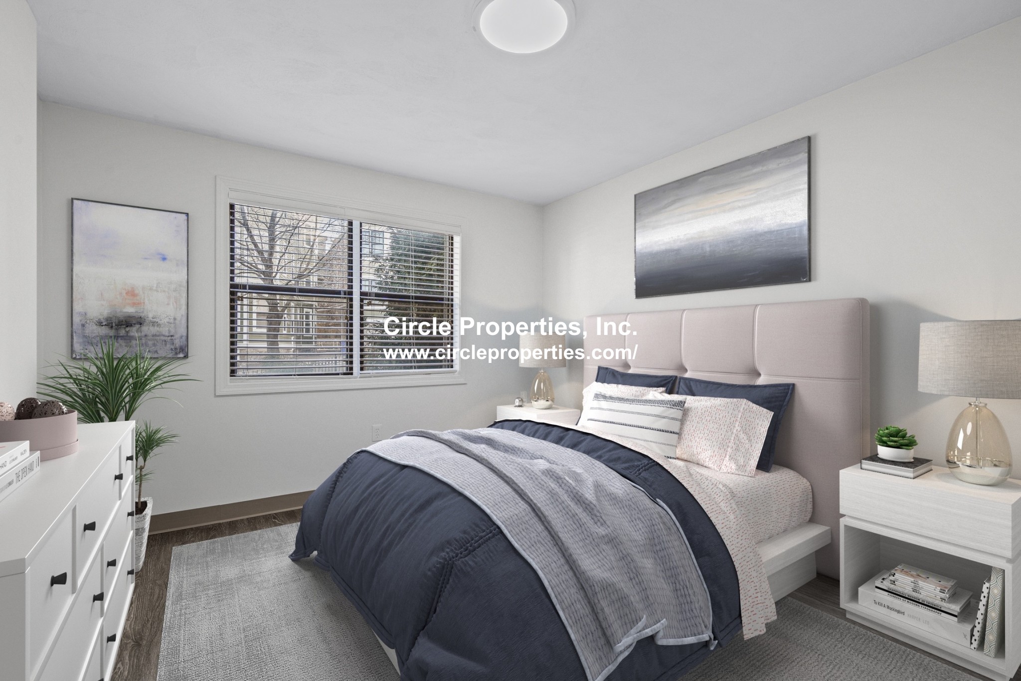 11 Darling St, Mission Hill