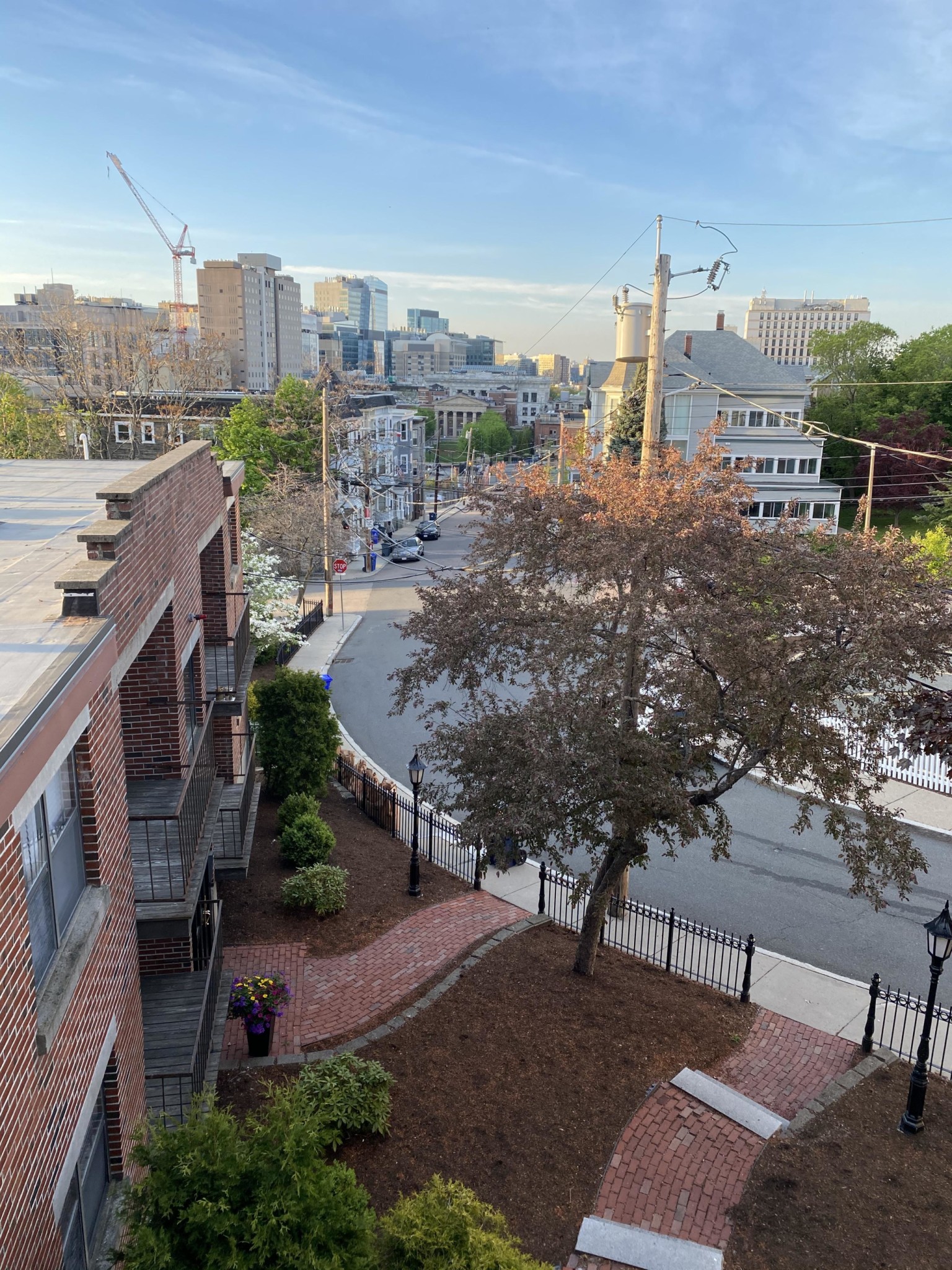 11 Darling St, Mission Hill