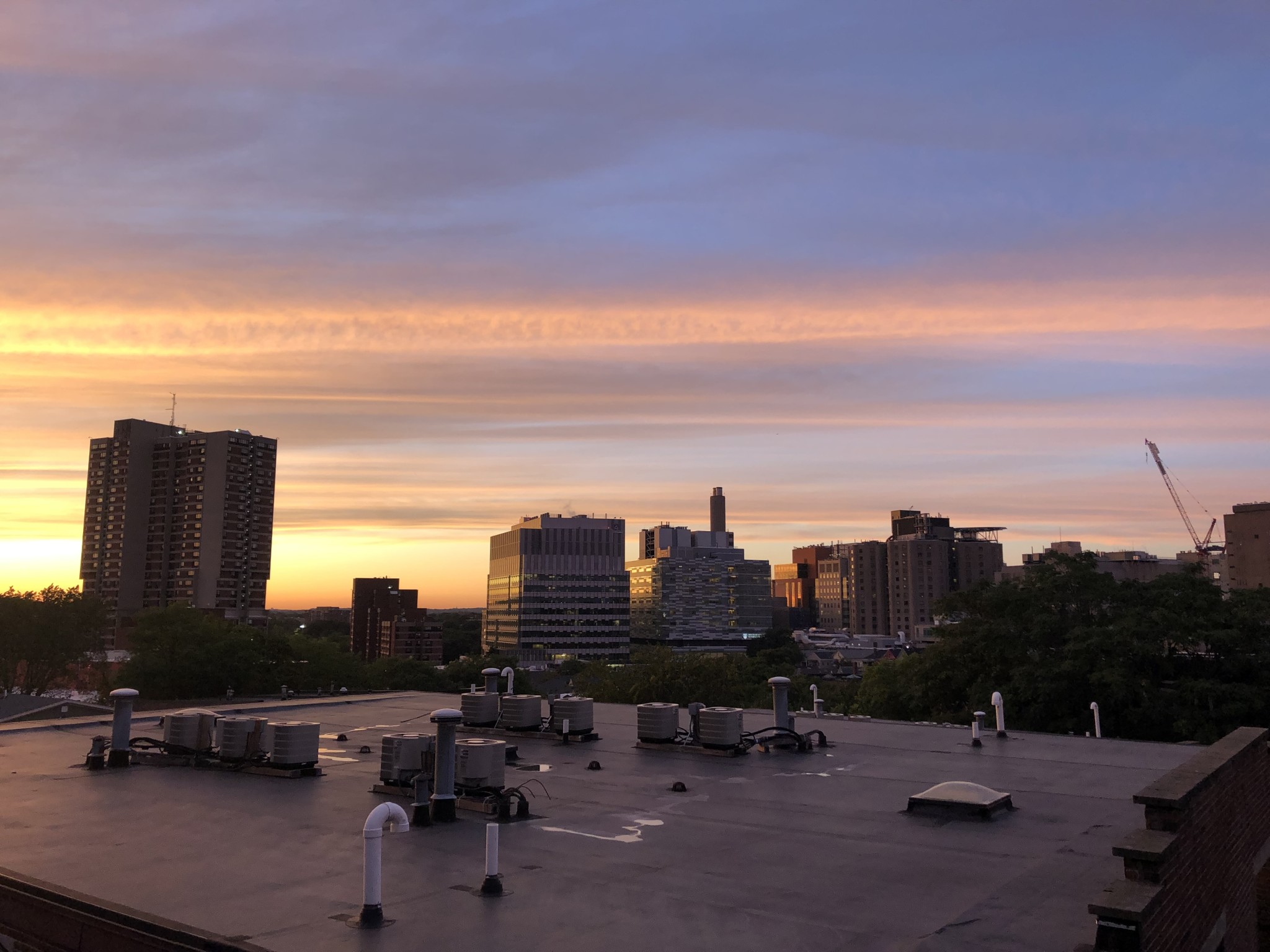 11 Darling St, Mission Hill