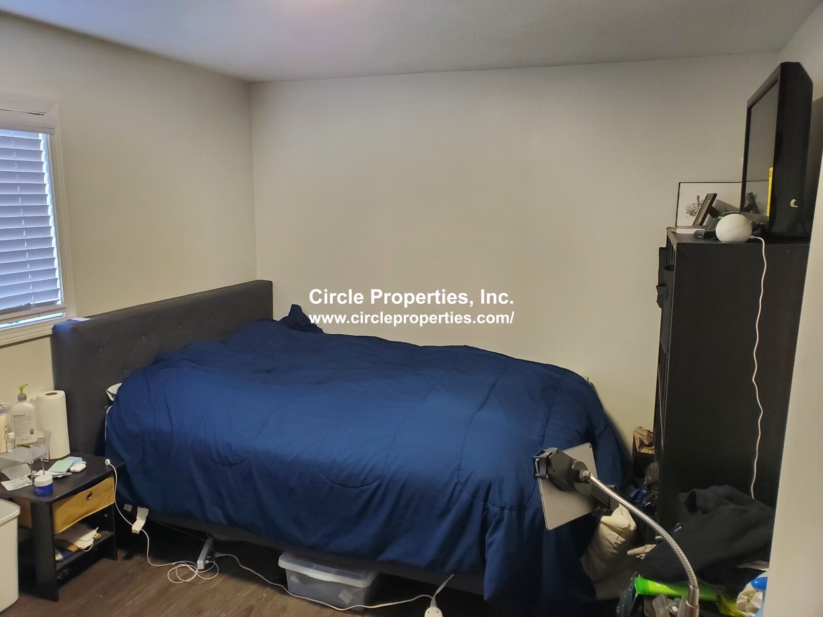 11 Darling St, Mission Hill