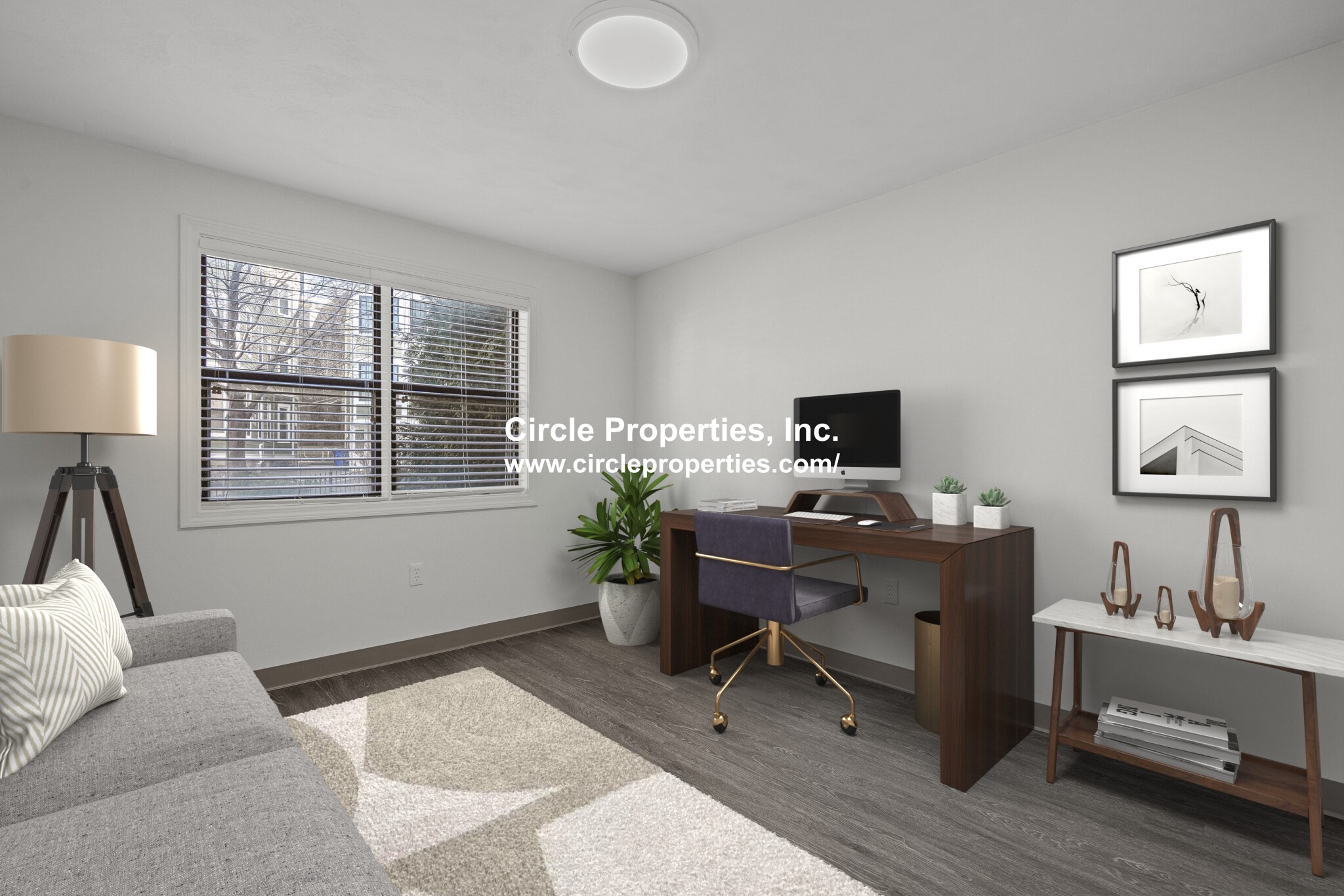 11 Darling St, Mission Hill