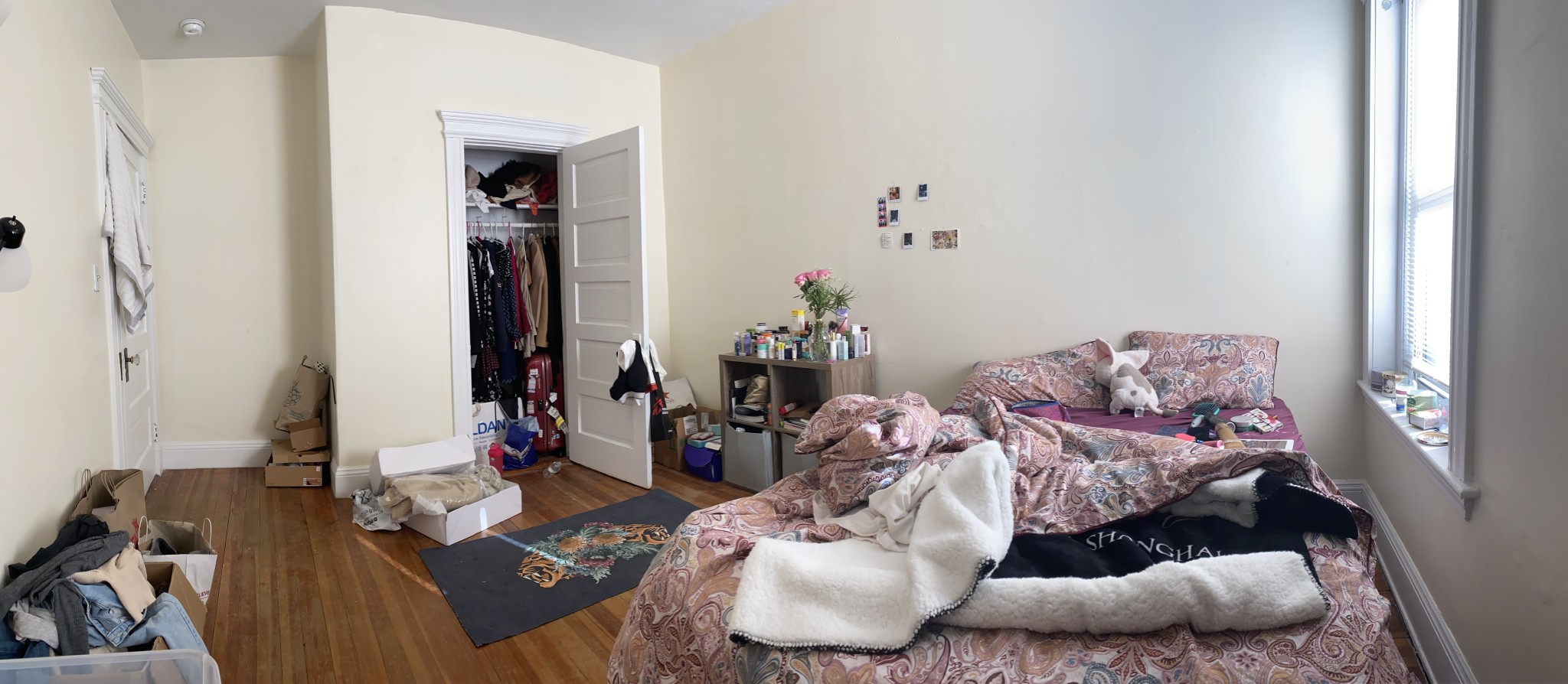 18 Mount Hood Rd, Brighton