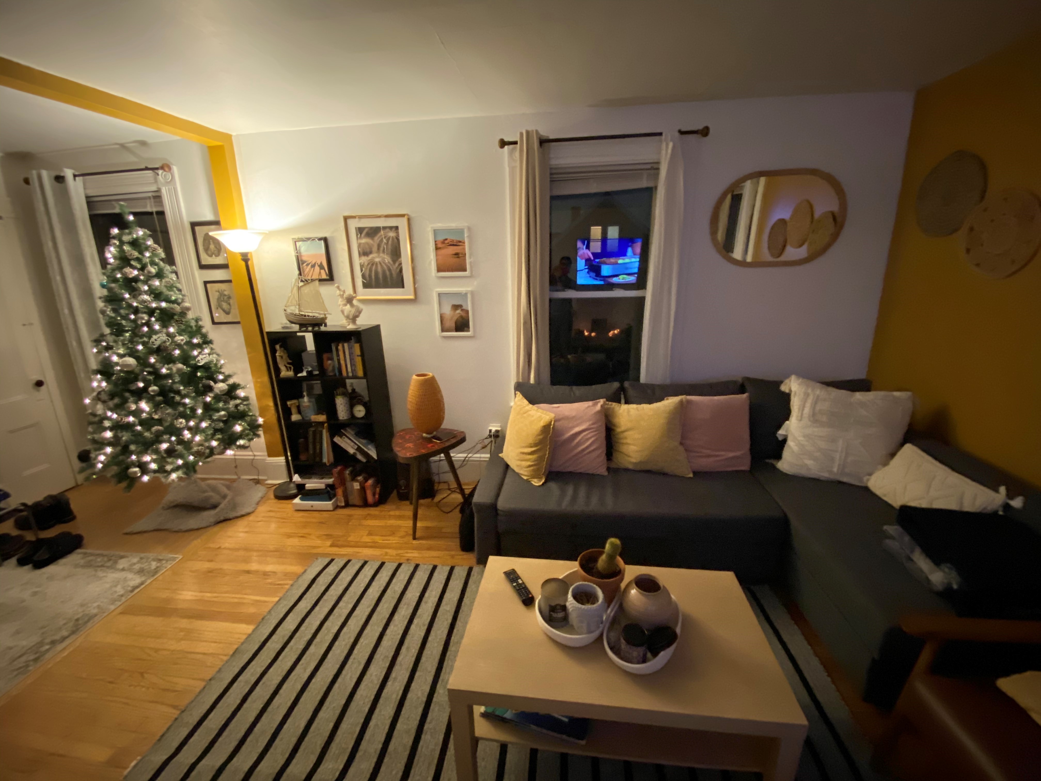 1 bed, 1 bath apartment for rent at 90 Lowell St Unit 2, Waltham — photo 5 of 7