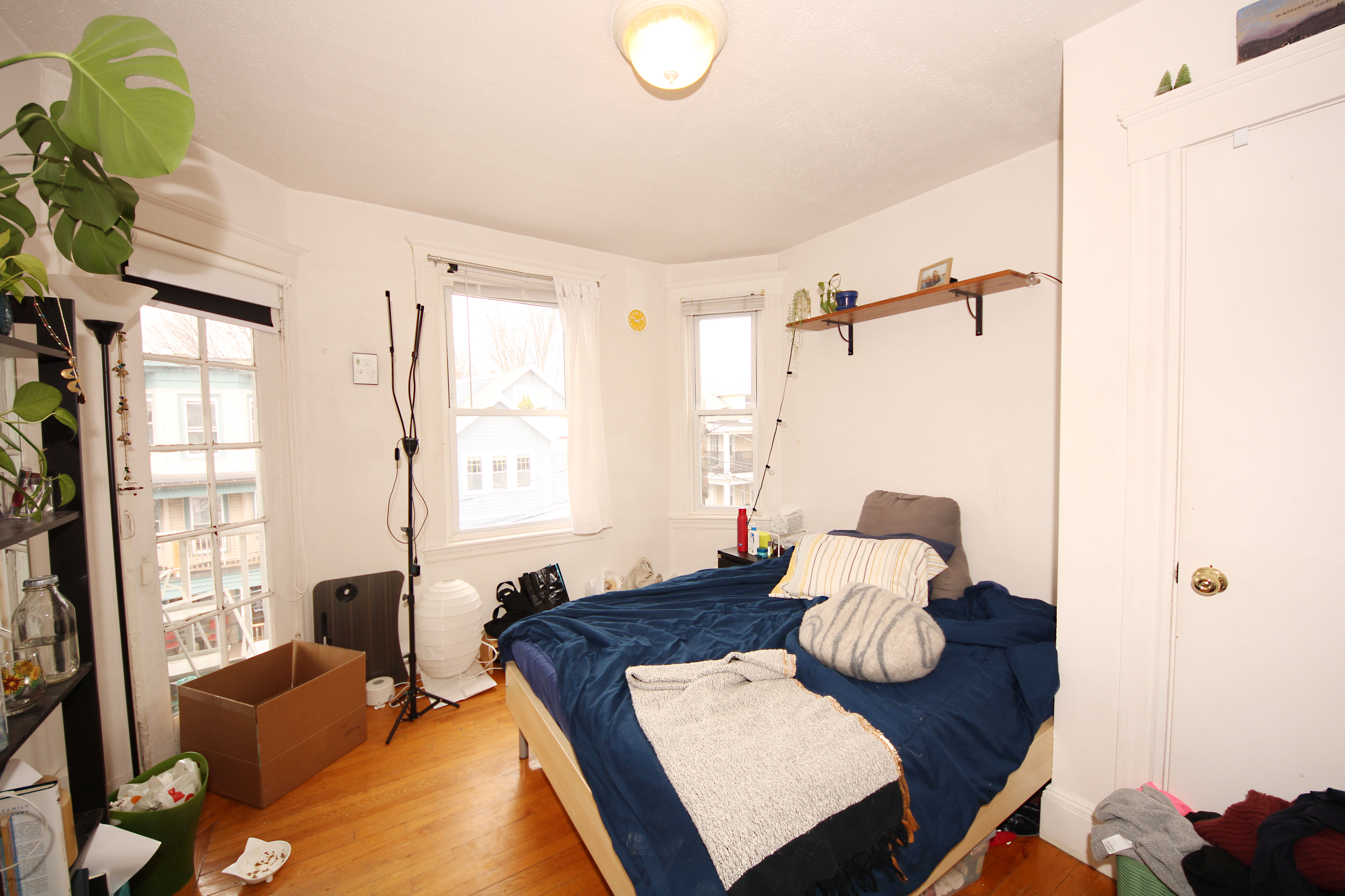 41 Atkins St, Brighton