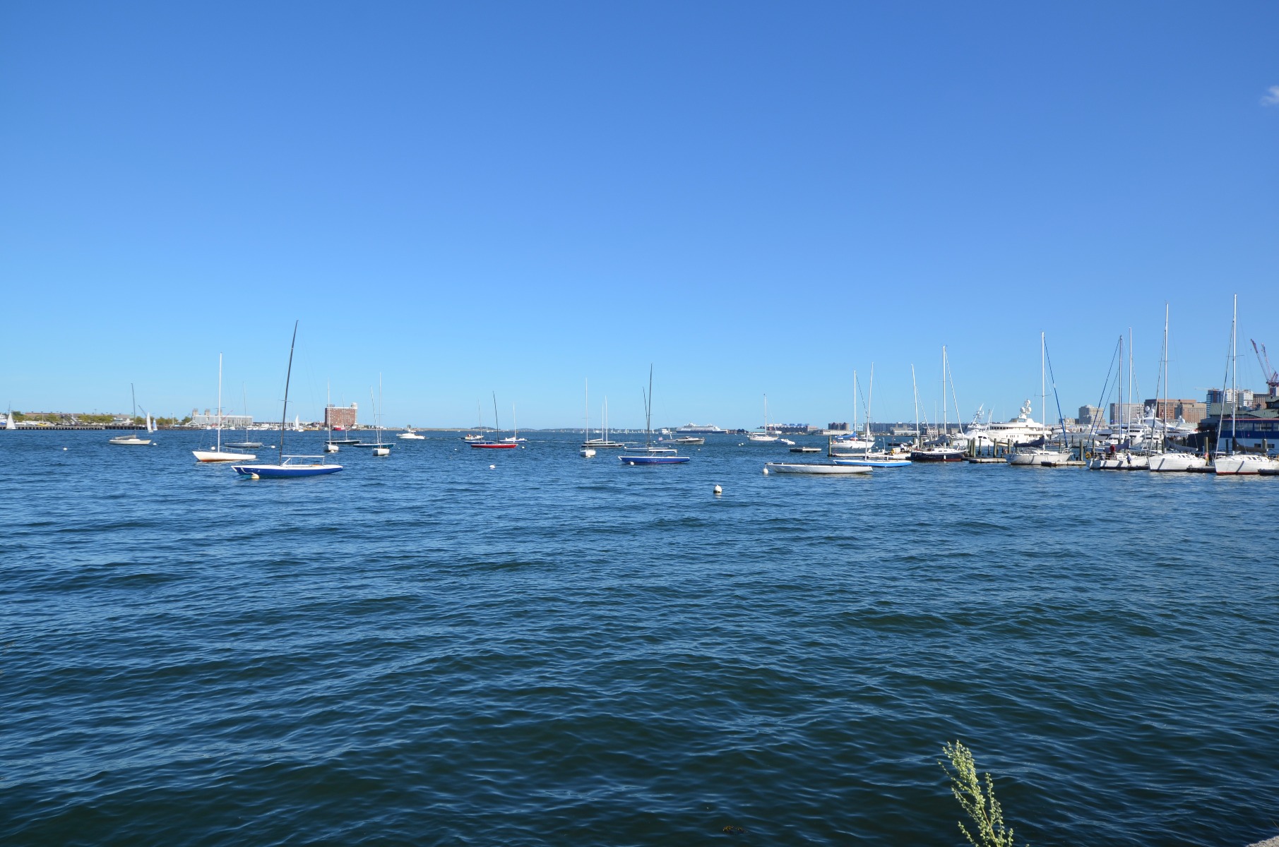 376 Commercial St, North End