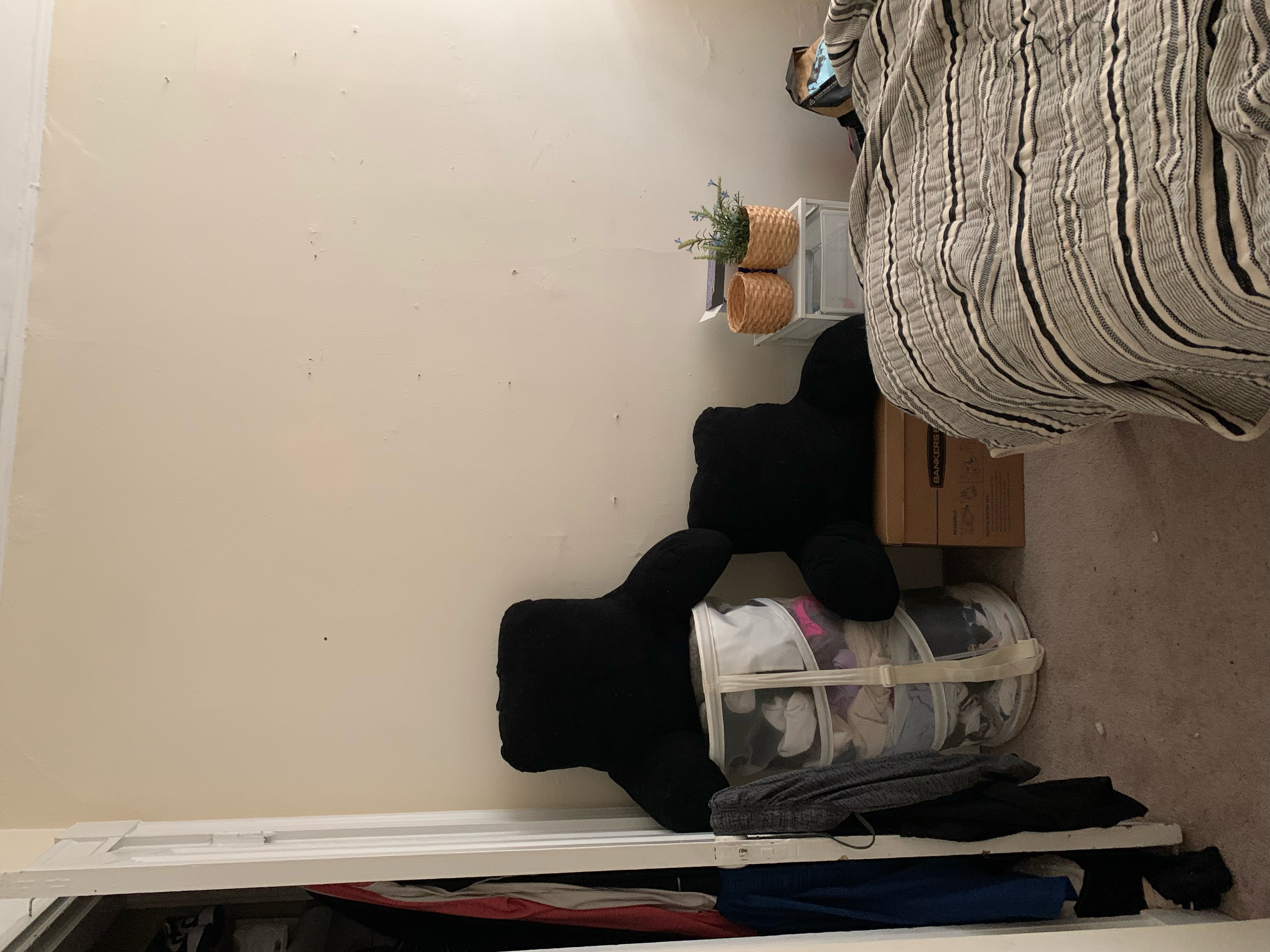 Studio bed, 1 bath apartment for rent at 251 West Newton St Unit 10, Back Bay — photo 6 of 12