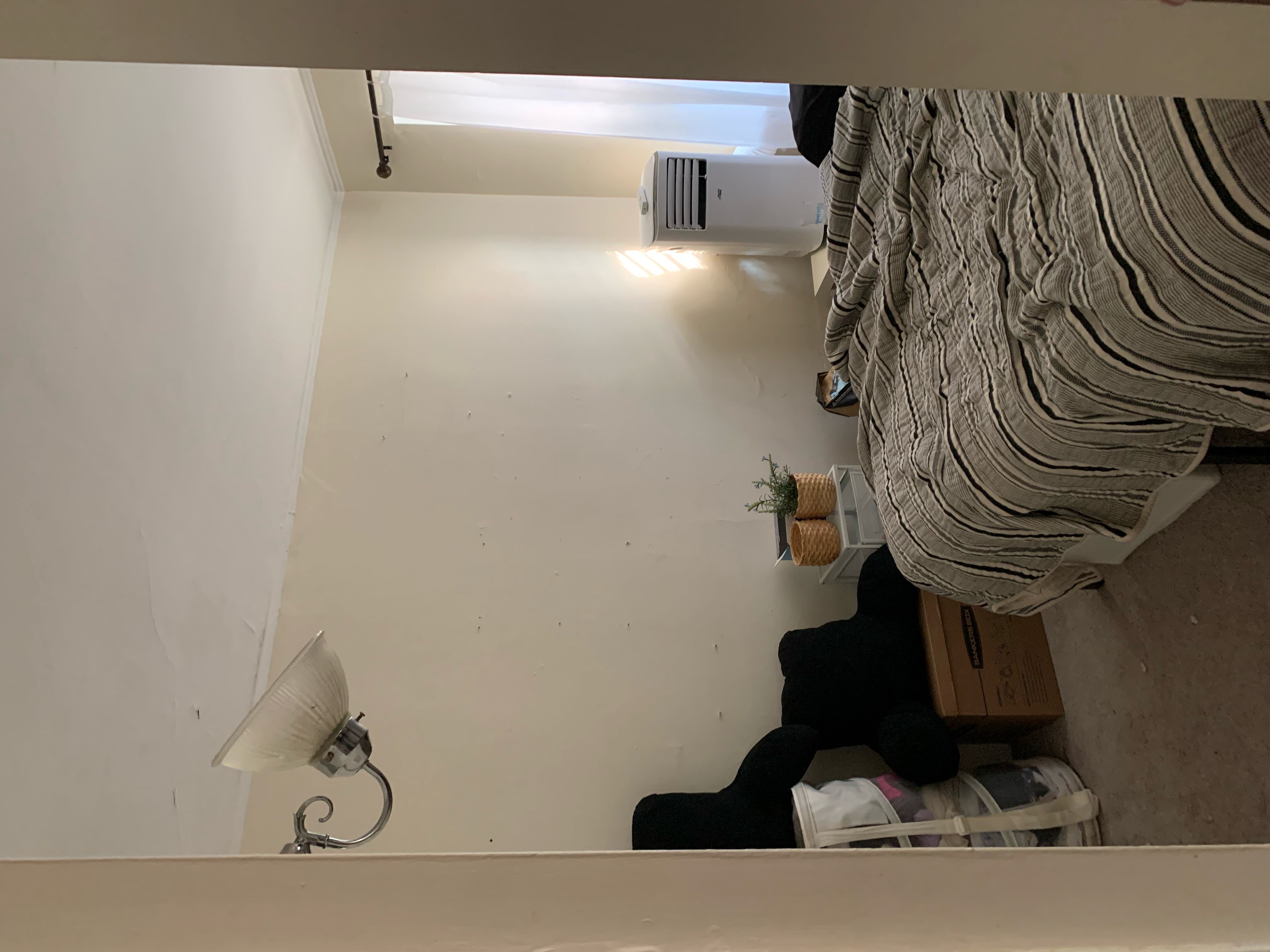 Studio bed, 1 bath apartment for rent at 251 West Newton St Unit 10, Back Bay — photo 5 of 12