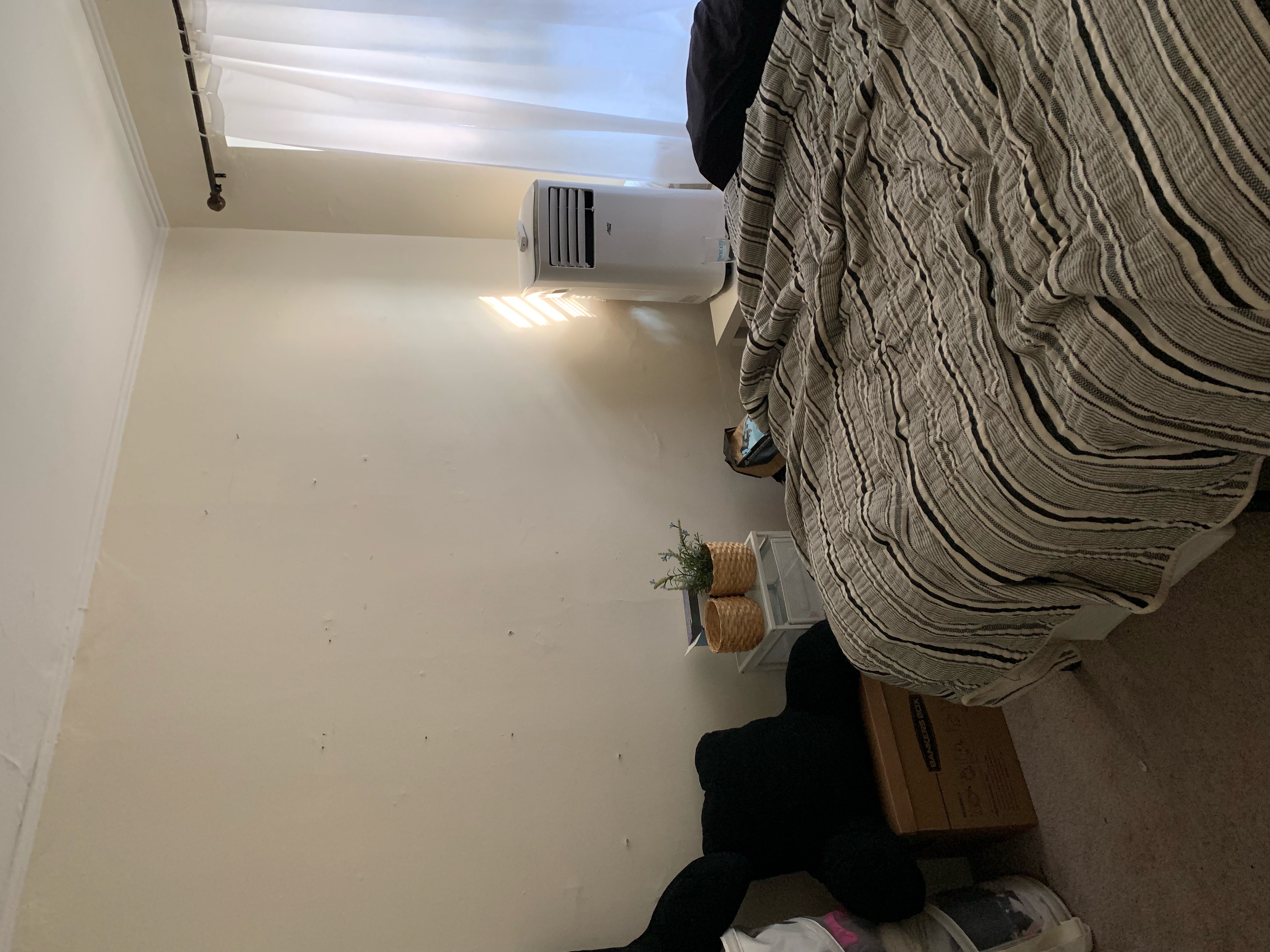 Studio bed, 1 bath apartment for rent at 251 West Newton St Unit 10, Back Bay — photo 3 of 12