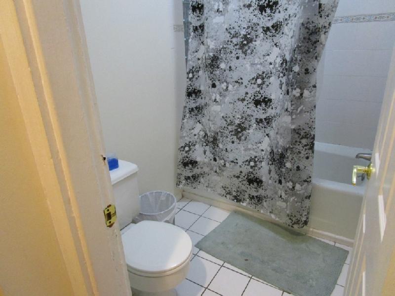 4 bed, 1 bath apartment for rent at 614 Columbus Ave Unit 4, South End — photo 7 of 27